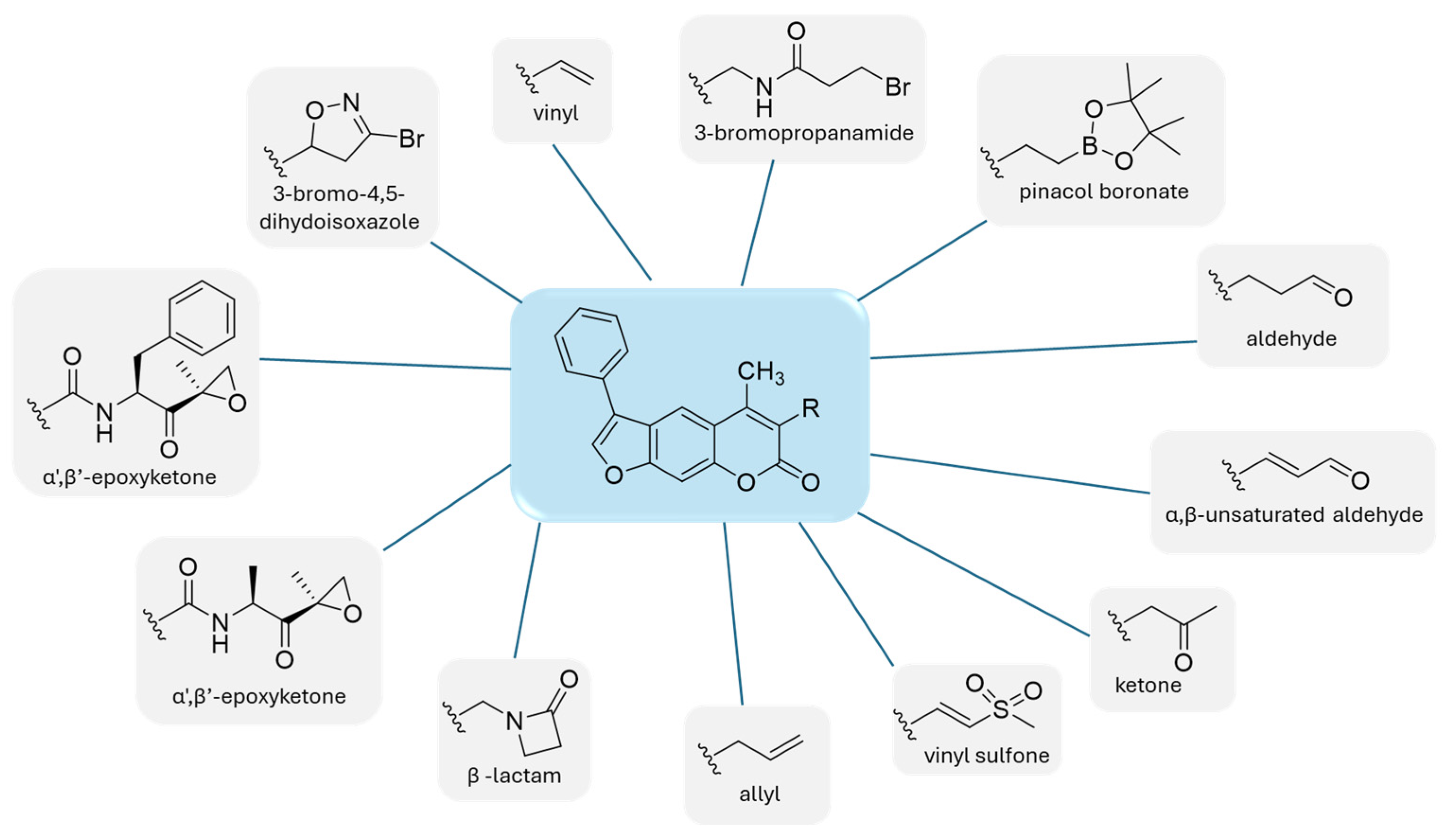 Molecules 30 00755 g014