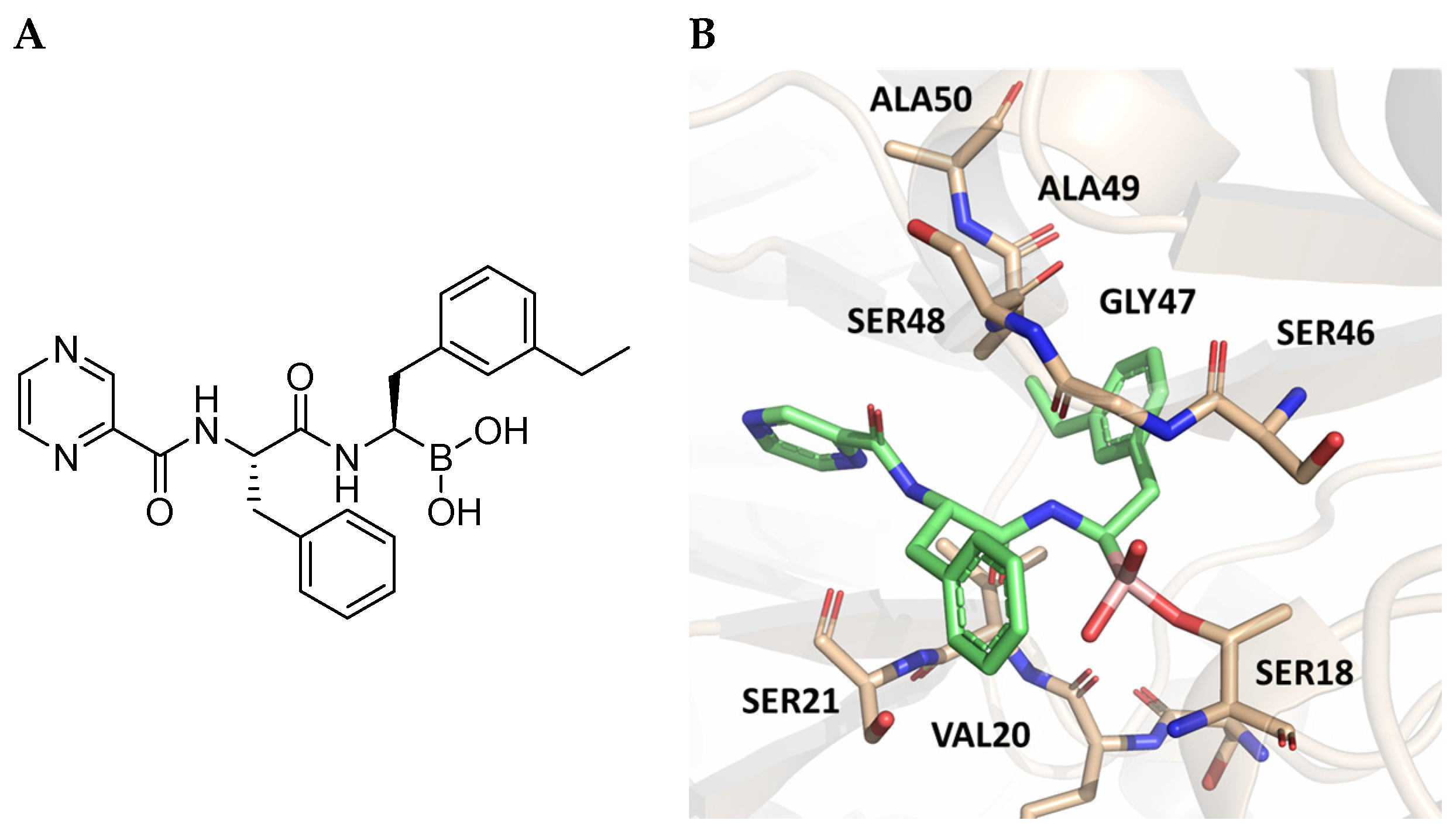Molecules 30 00755 g020