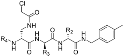 Molecules 30 00755 i088