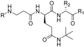 Molecules 30 00755 i095