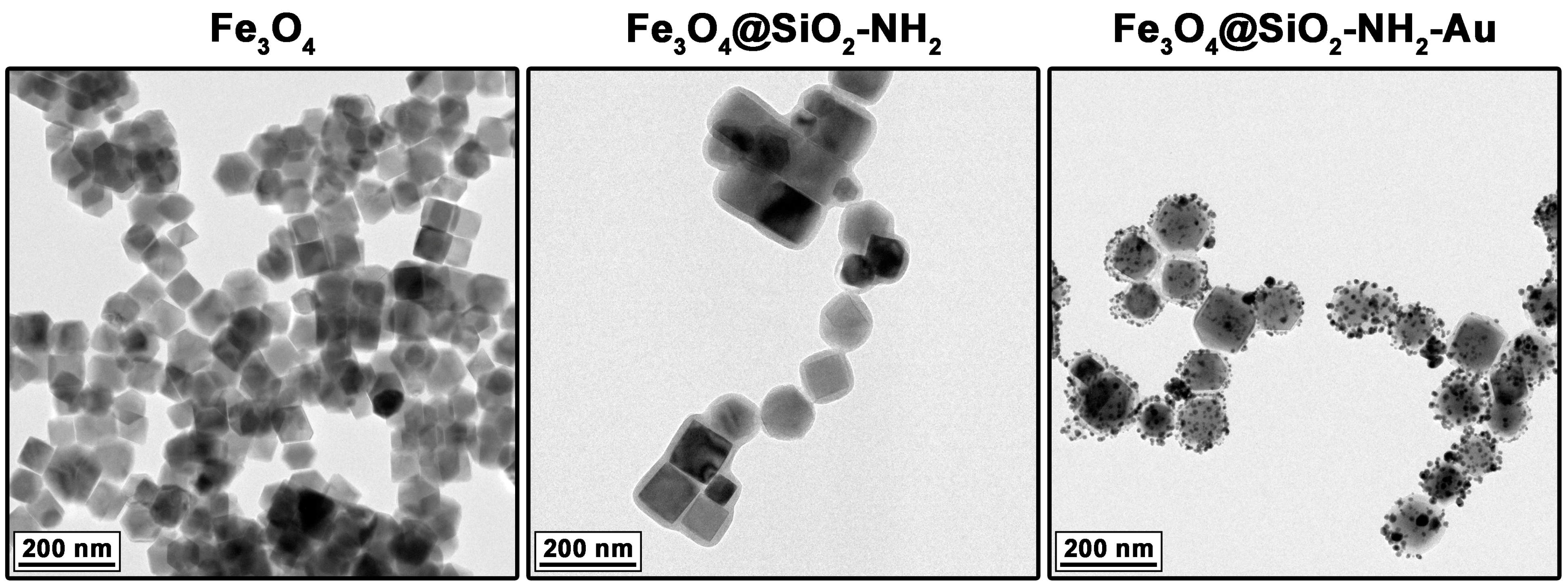 Molecules 30 00756 g001