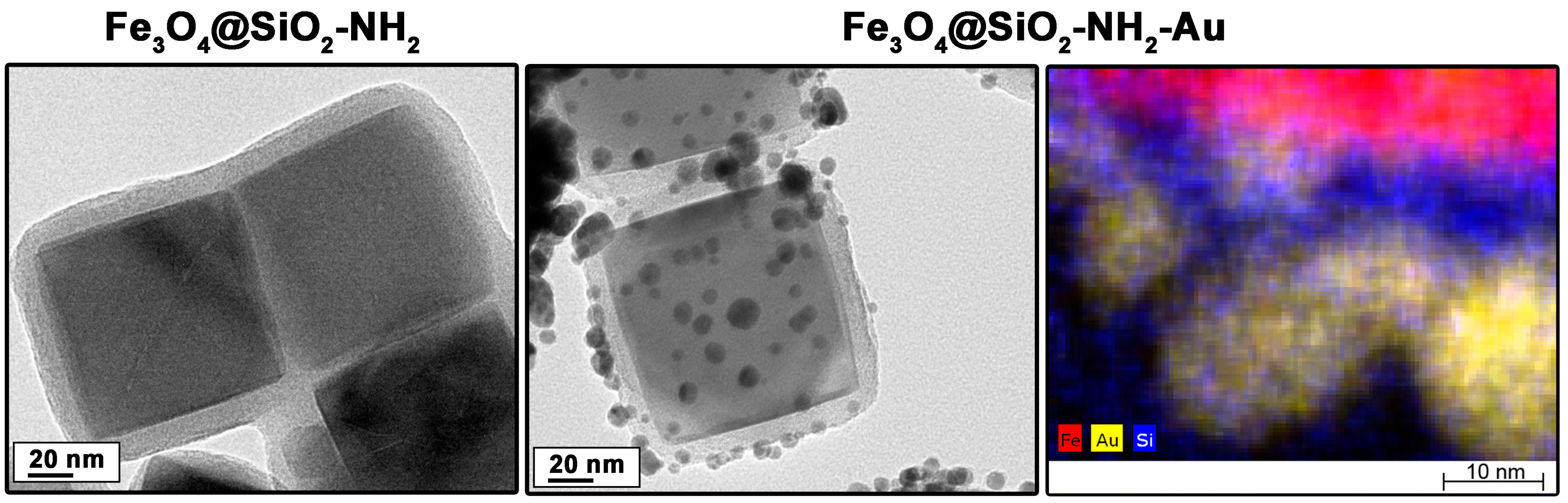 Molecules 30 00756 g002