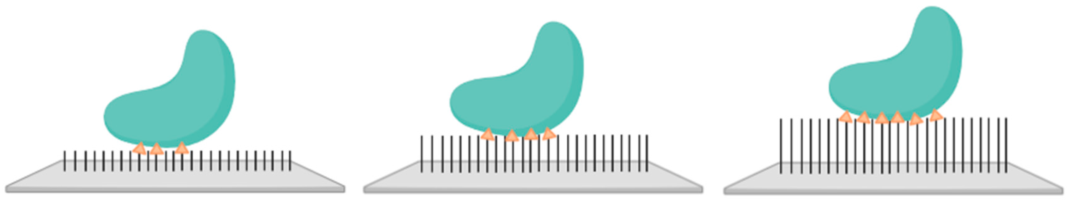 Molecules 30 00756 g008