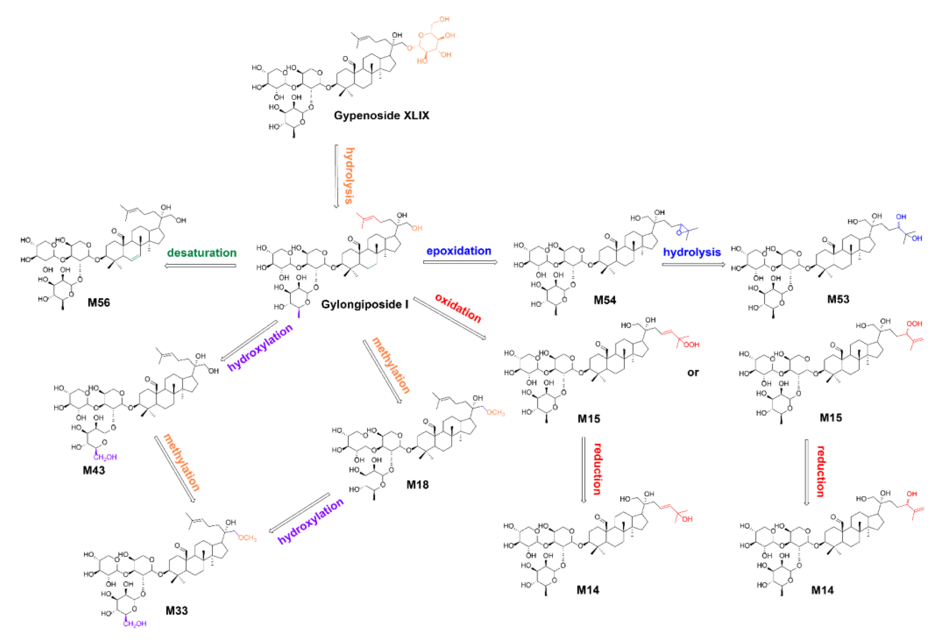 Molecules 30 00779 g004