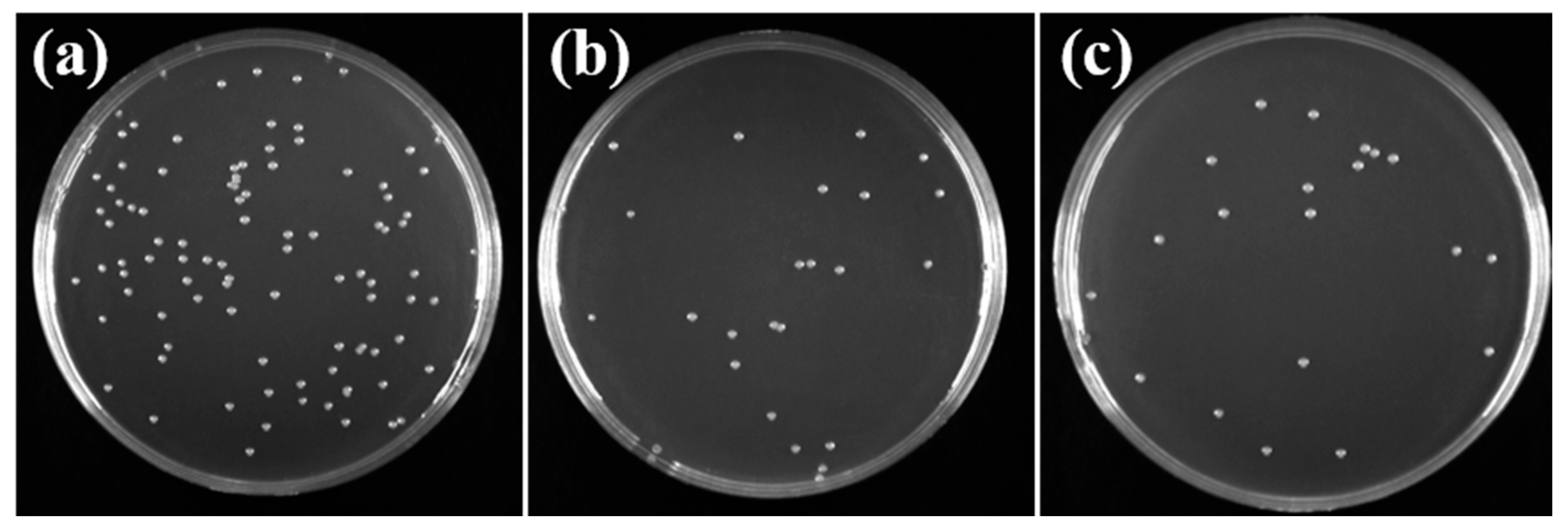Molecules 30 00781 g012
