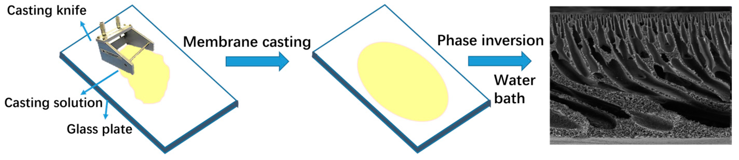 Molecules 30 00781 g014