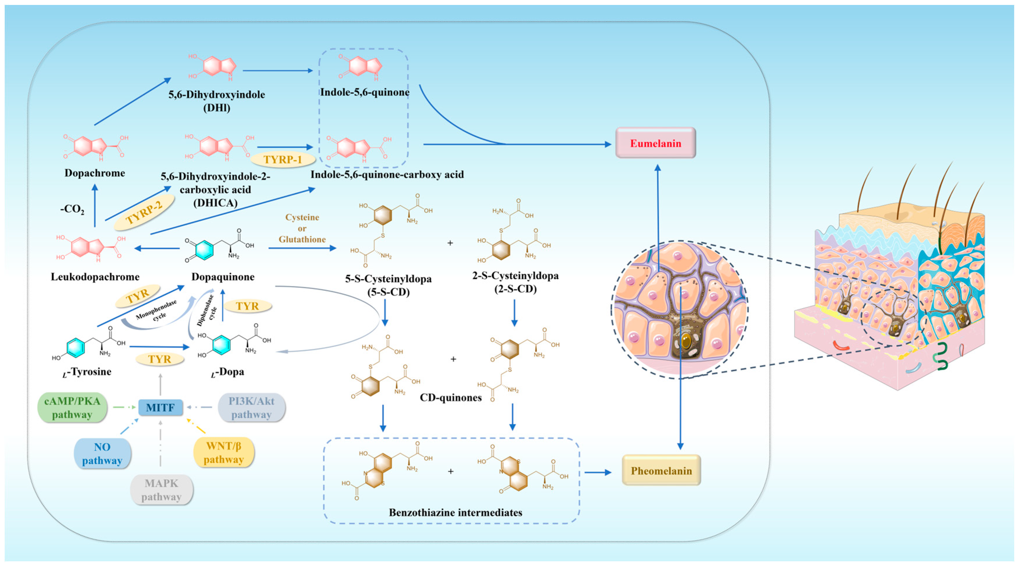Molecules 30 00788 g001