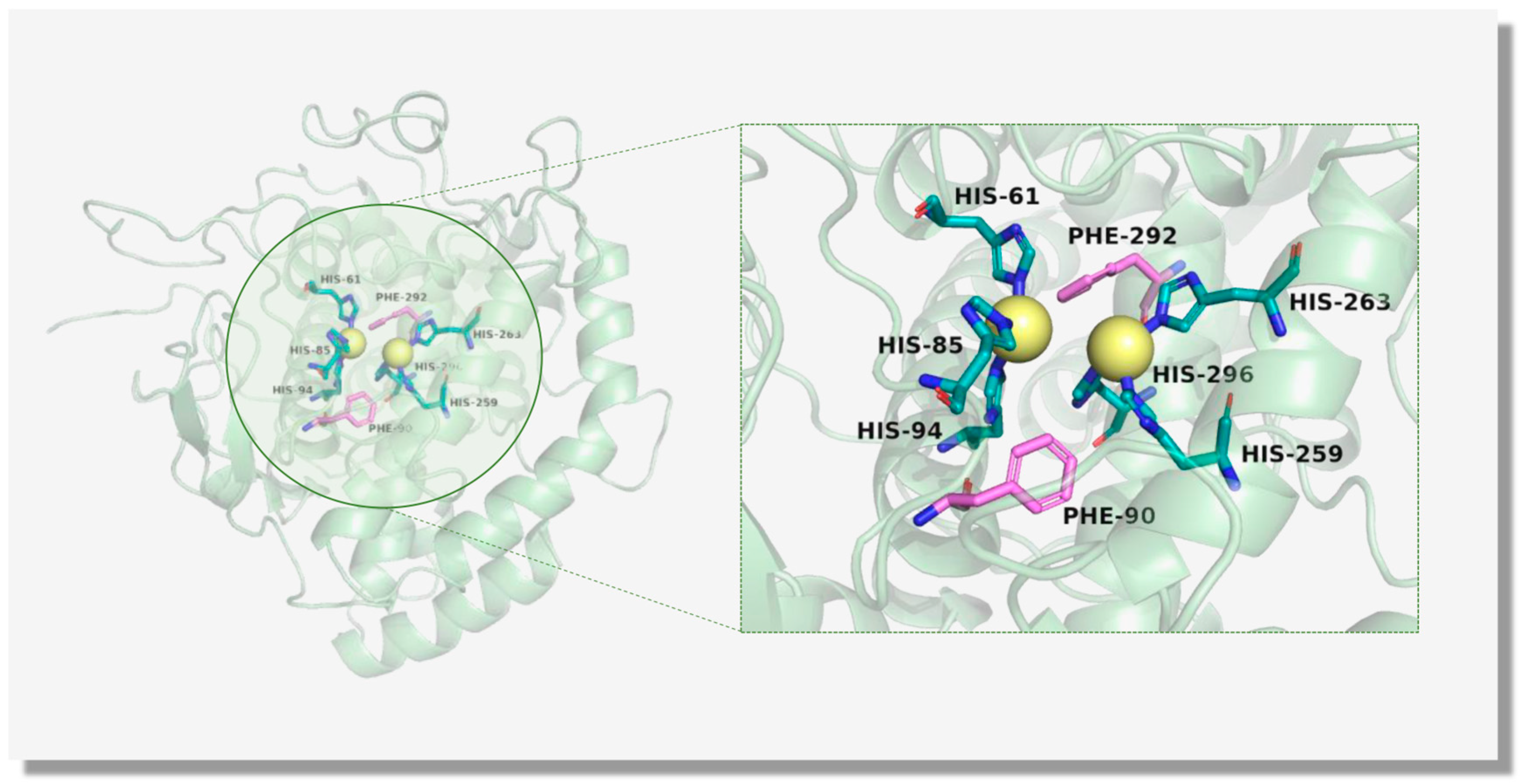 Molecules 30 00788 g002