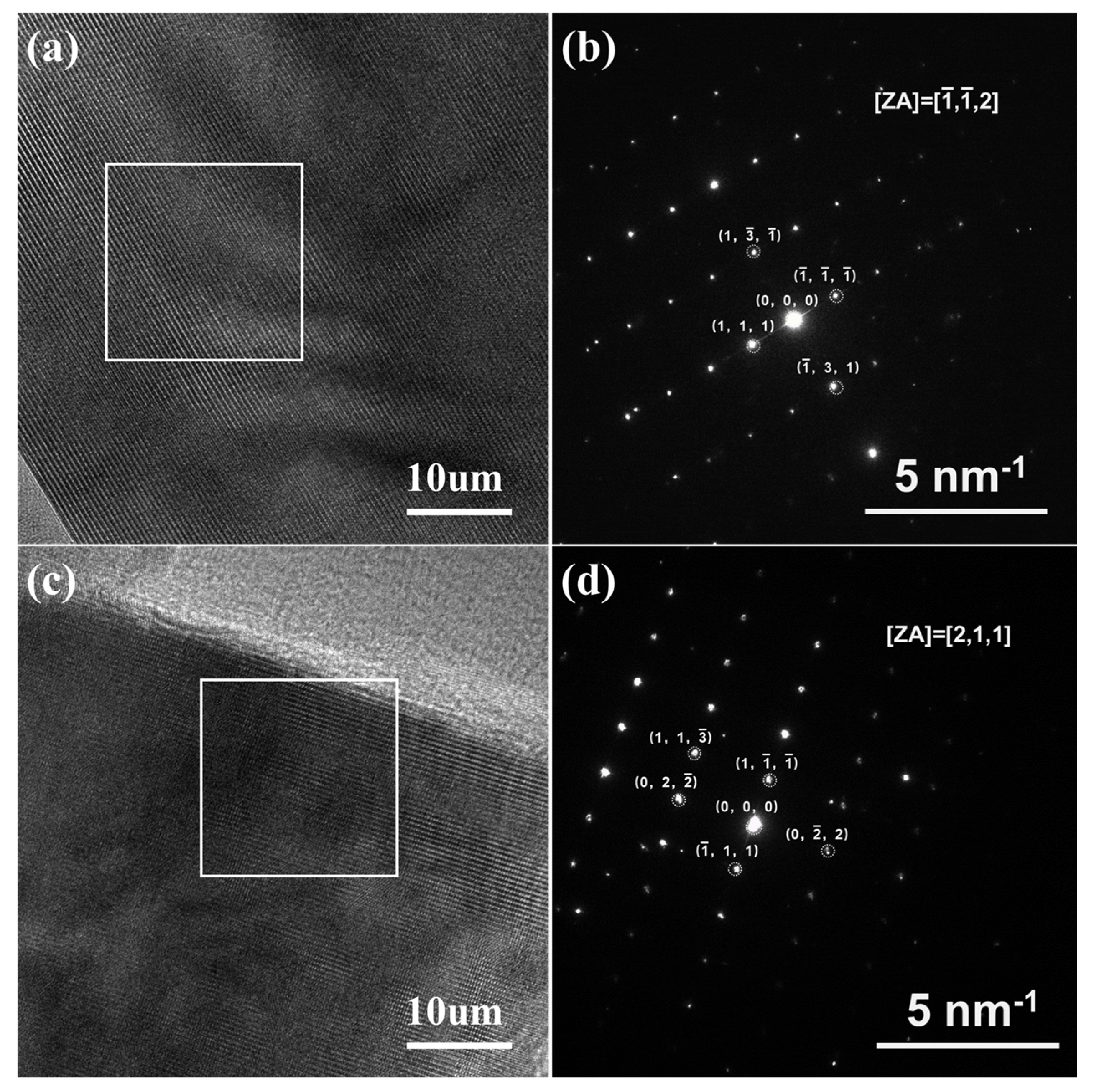 Molecules 30 00797 g004