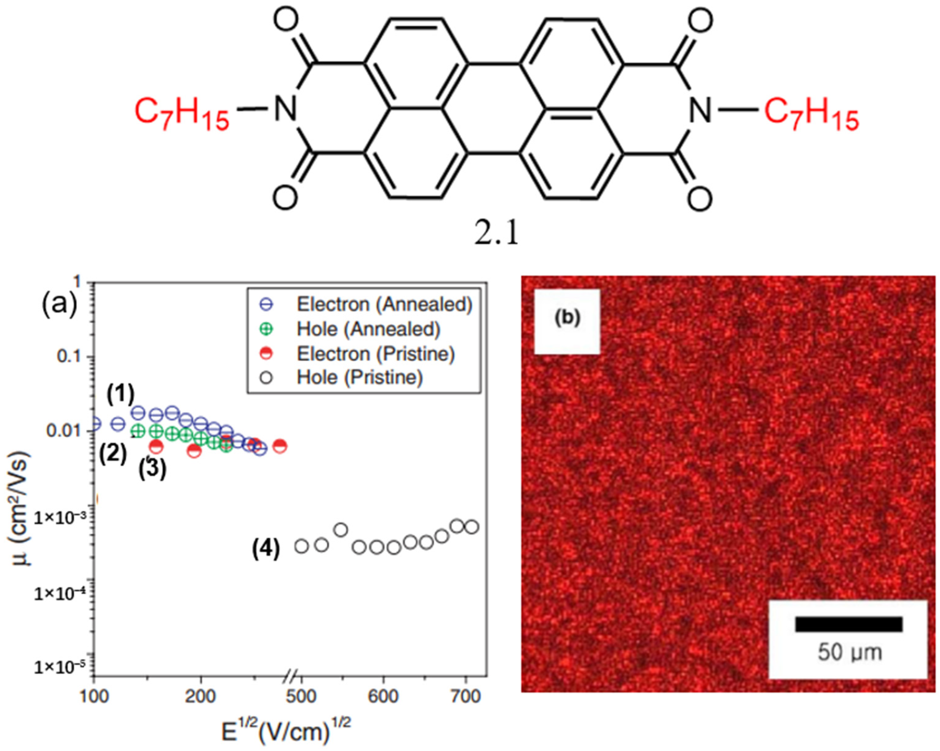 Molecules 30 00799 g003 Molecules 30 00799 g003