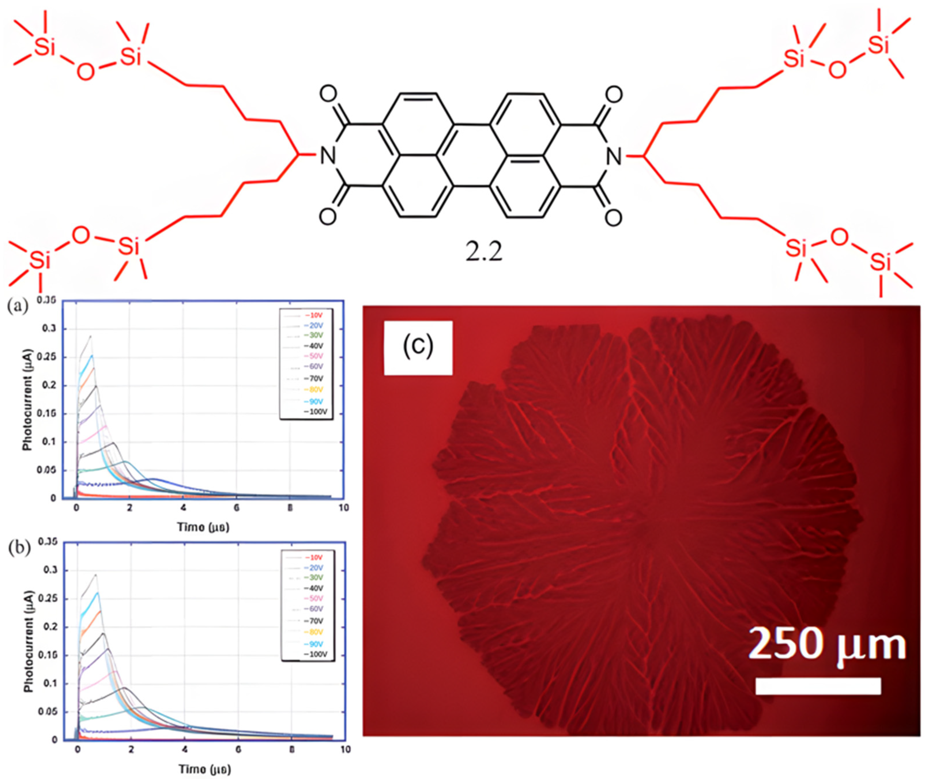 Molecules 30 00799 g004 Molecules 30 00799 g004