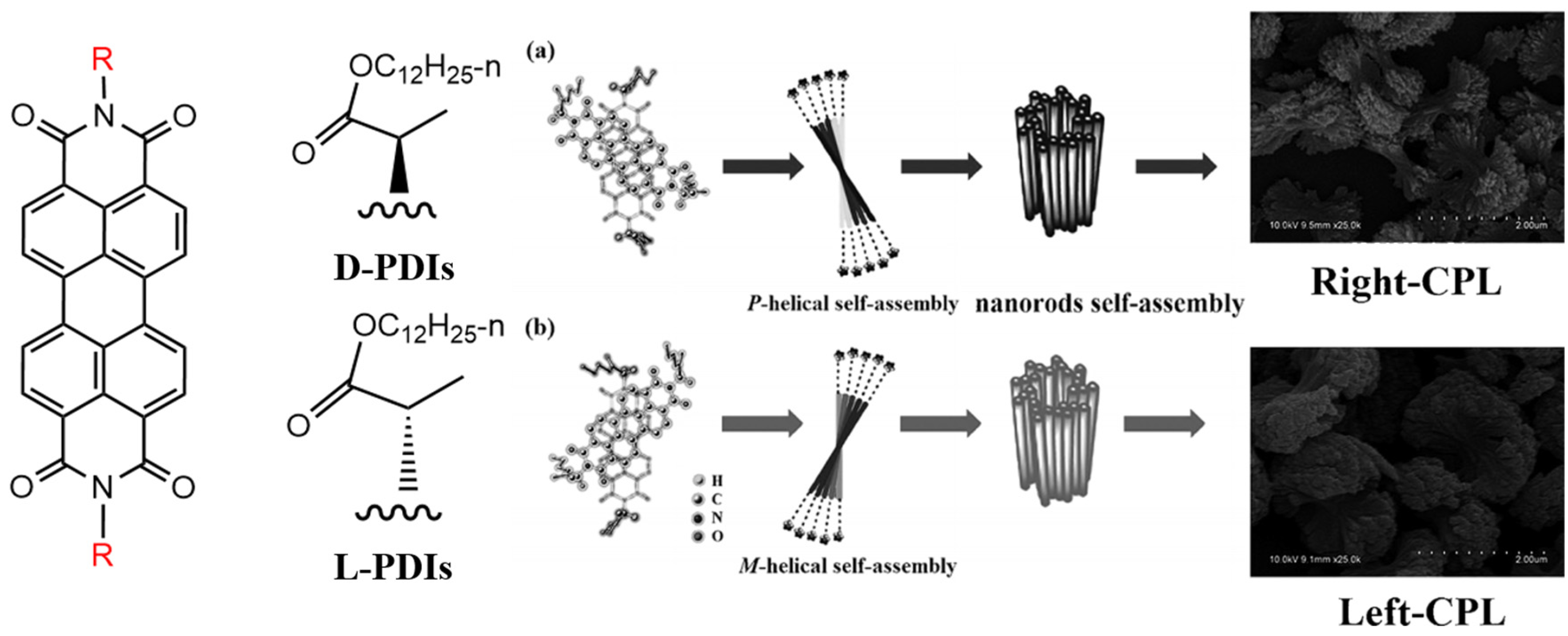 Molecules 30 00799 g005 Molecules 30 00799 g005
