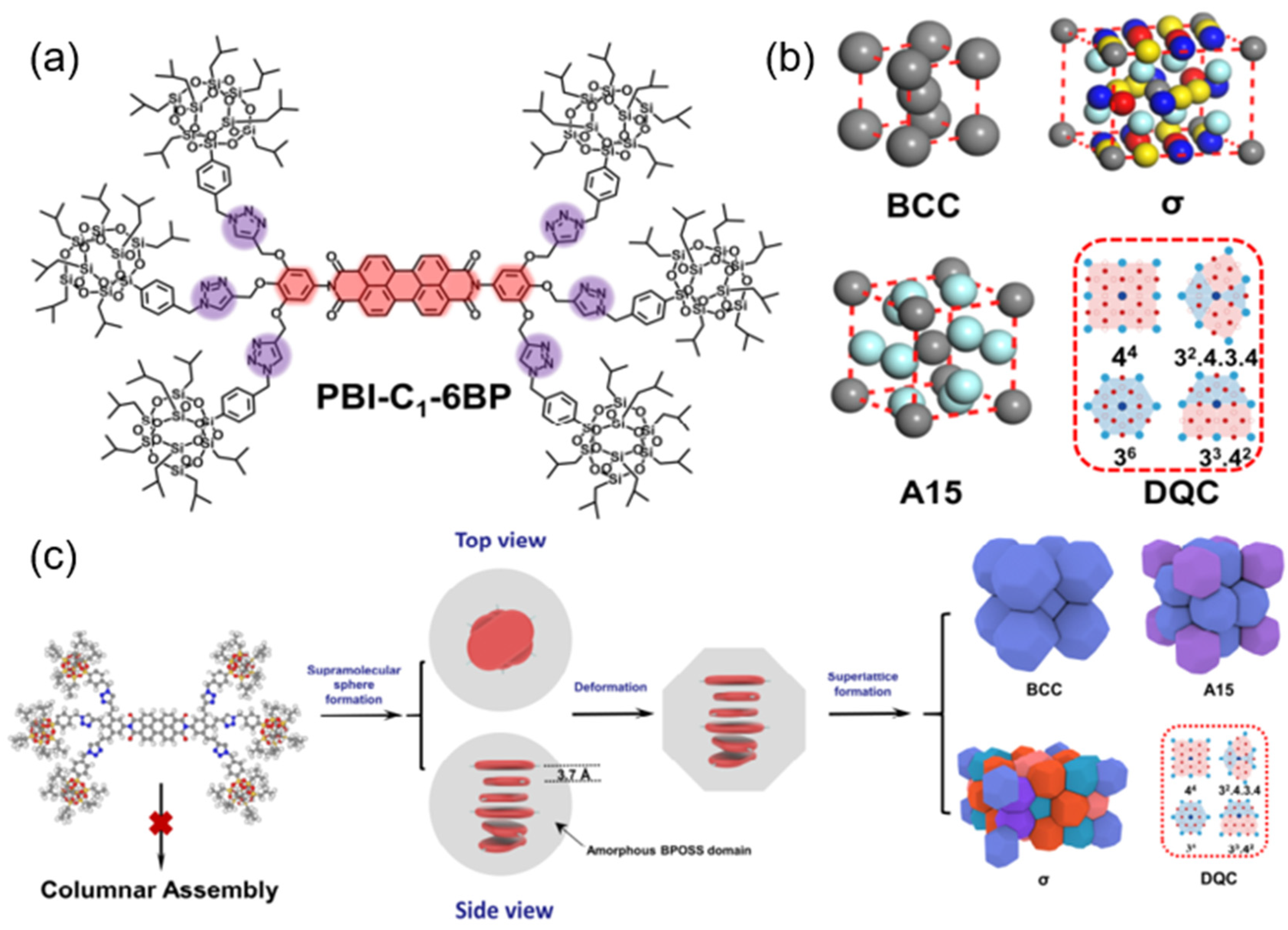 Molecules 30 00799 g007 Molecules 30 00799 g007