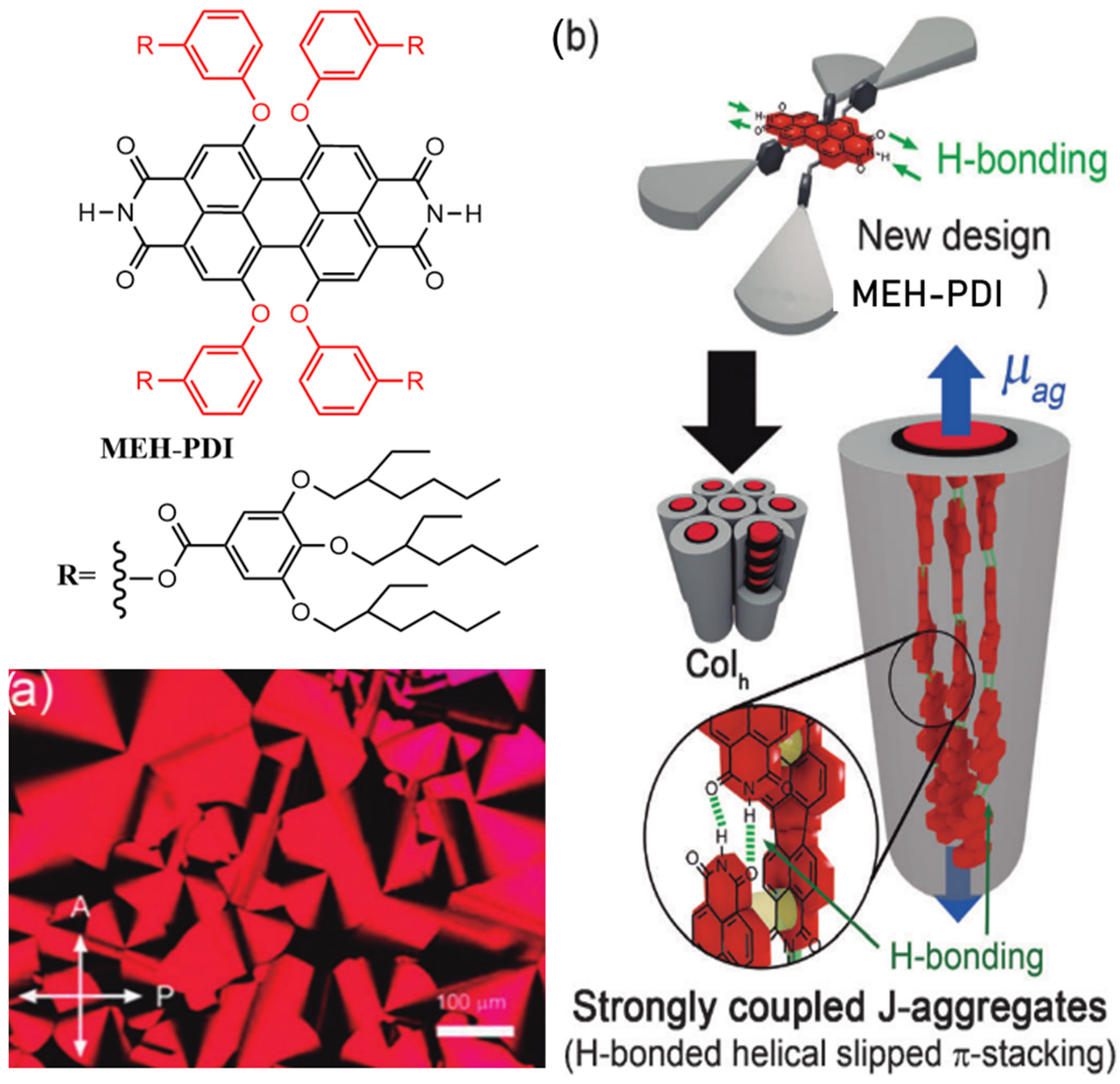 Molecules 30 00799 g011 Molecules 30 00799 g011
