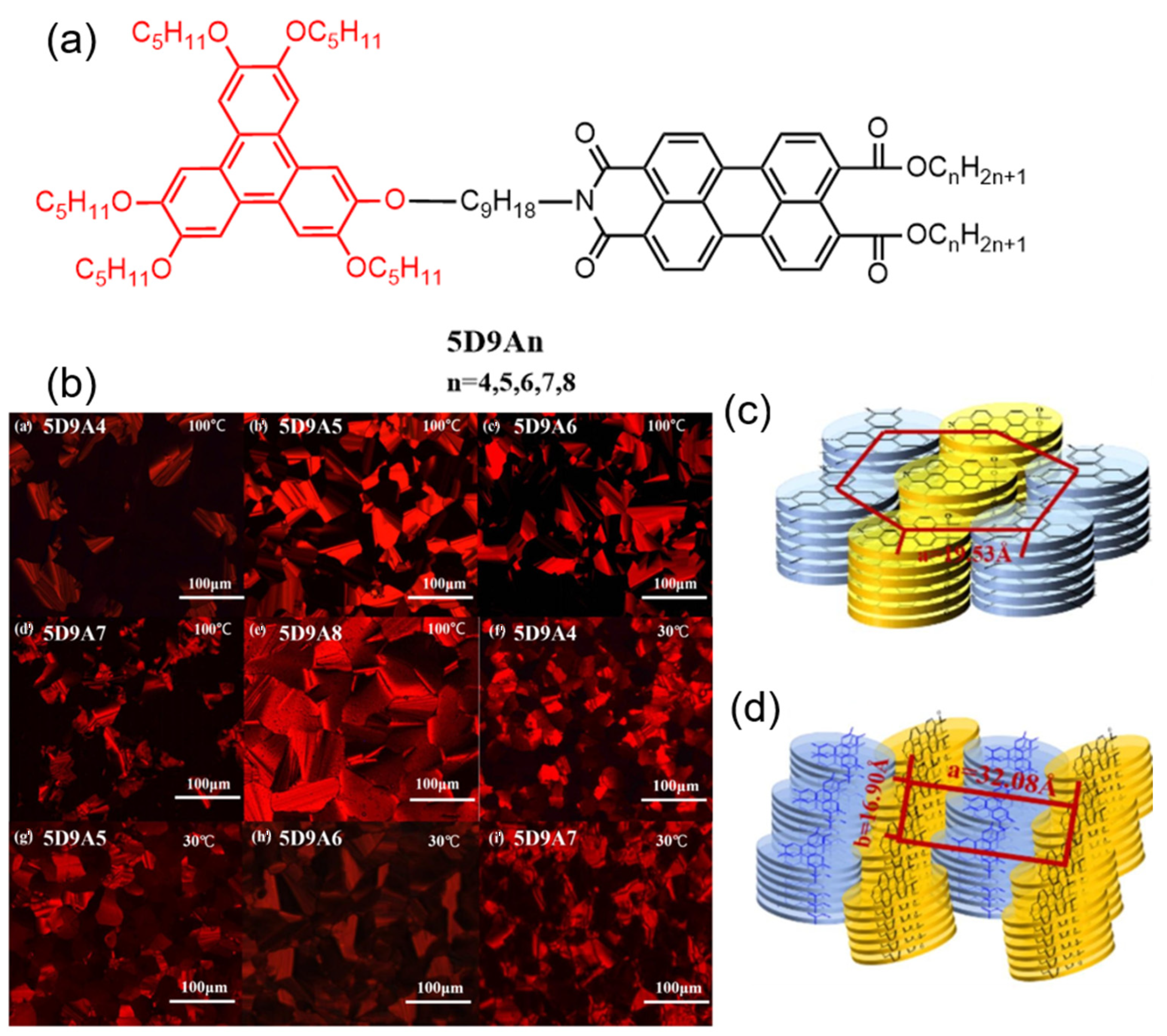 Molecules 30 00799 g019 Molecules 30 00799 g019