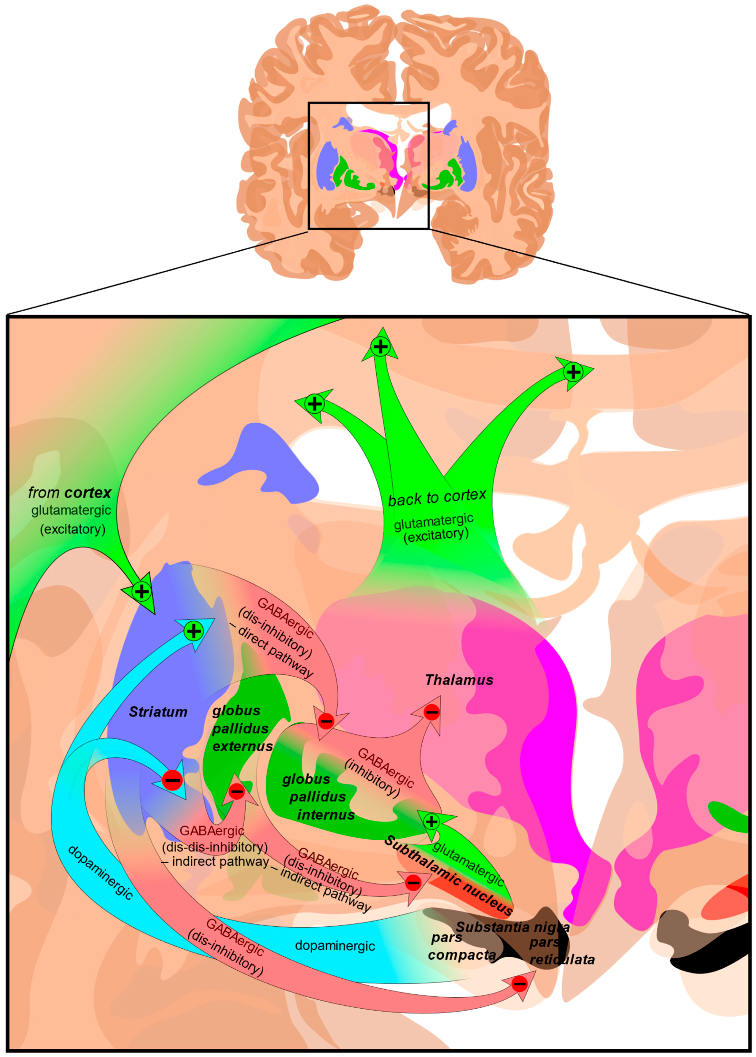 Molecules 30 00839 g002