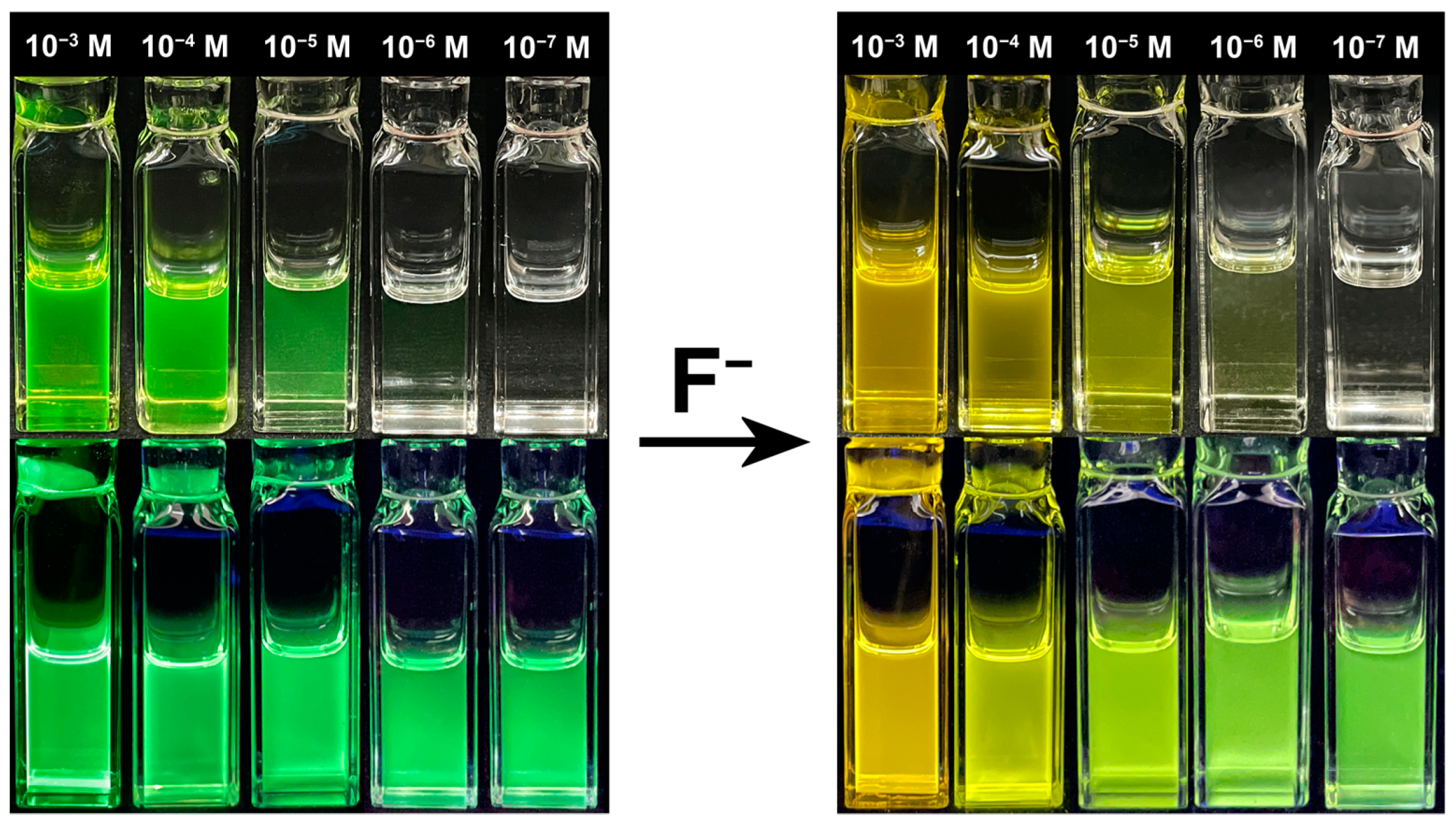 Molecules 30 00879 g006