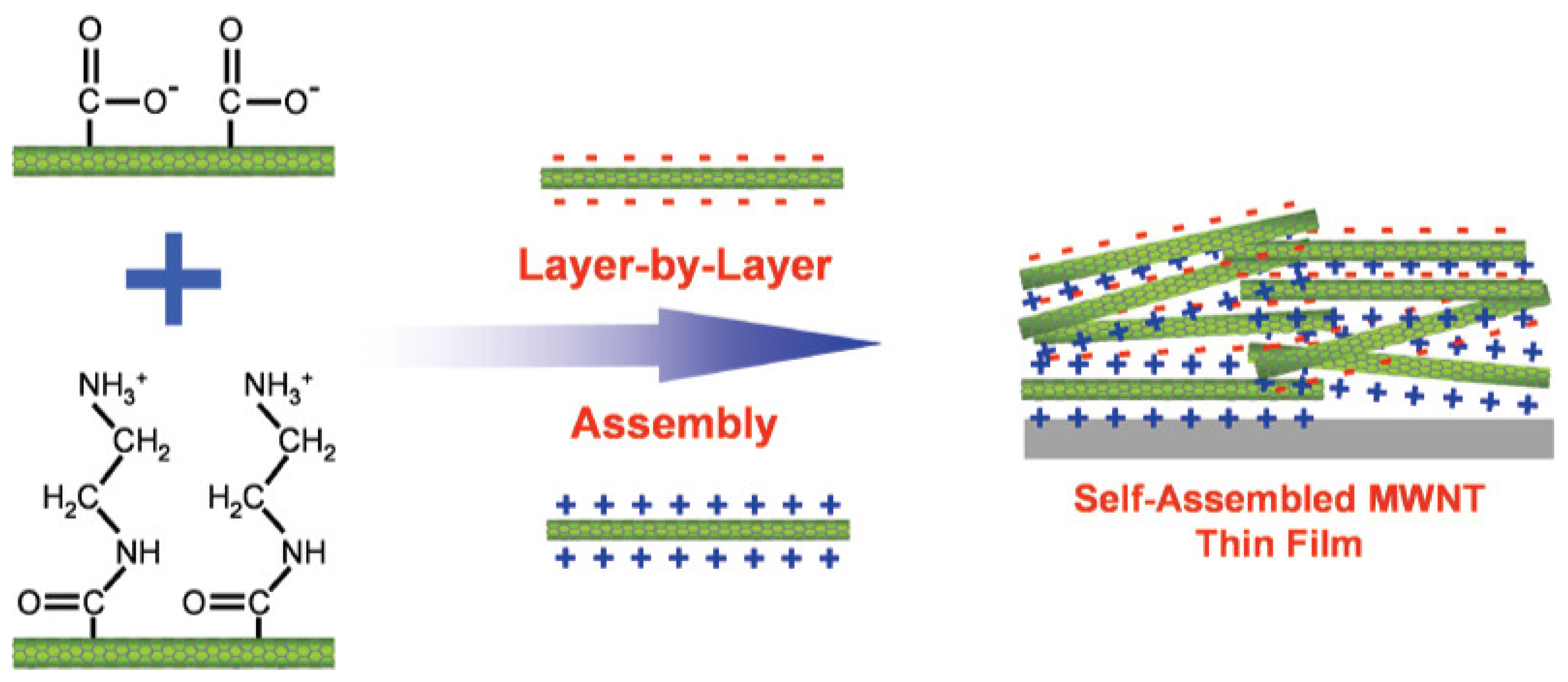 Molecules 30 00883 g007