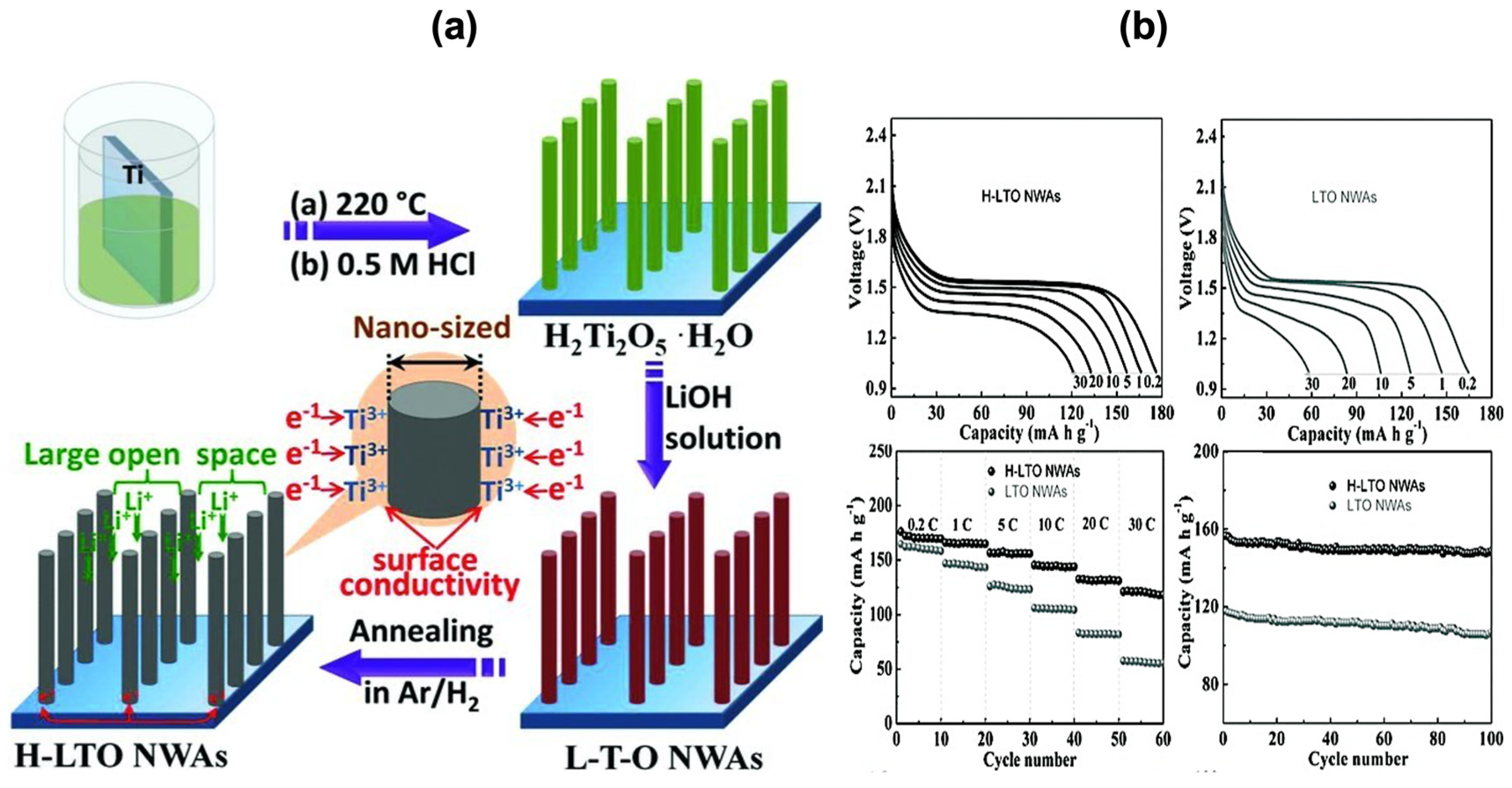 Molecules 30 00883 g008