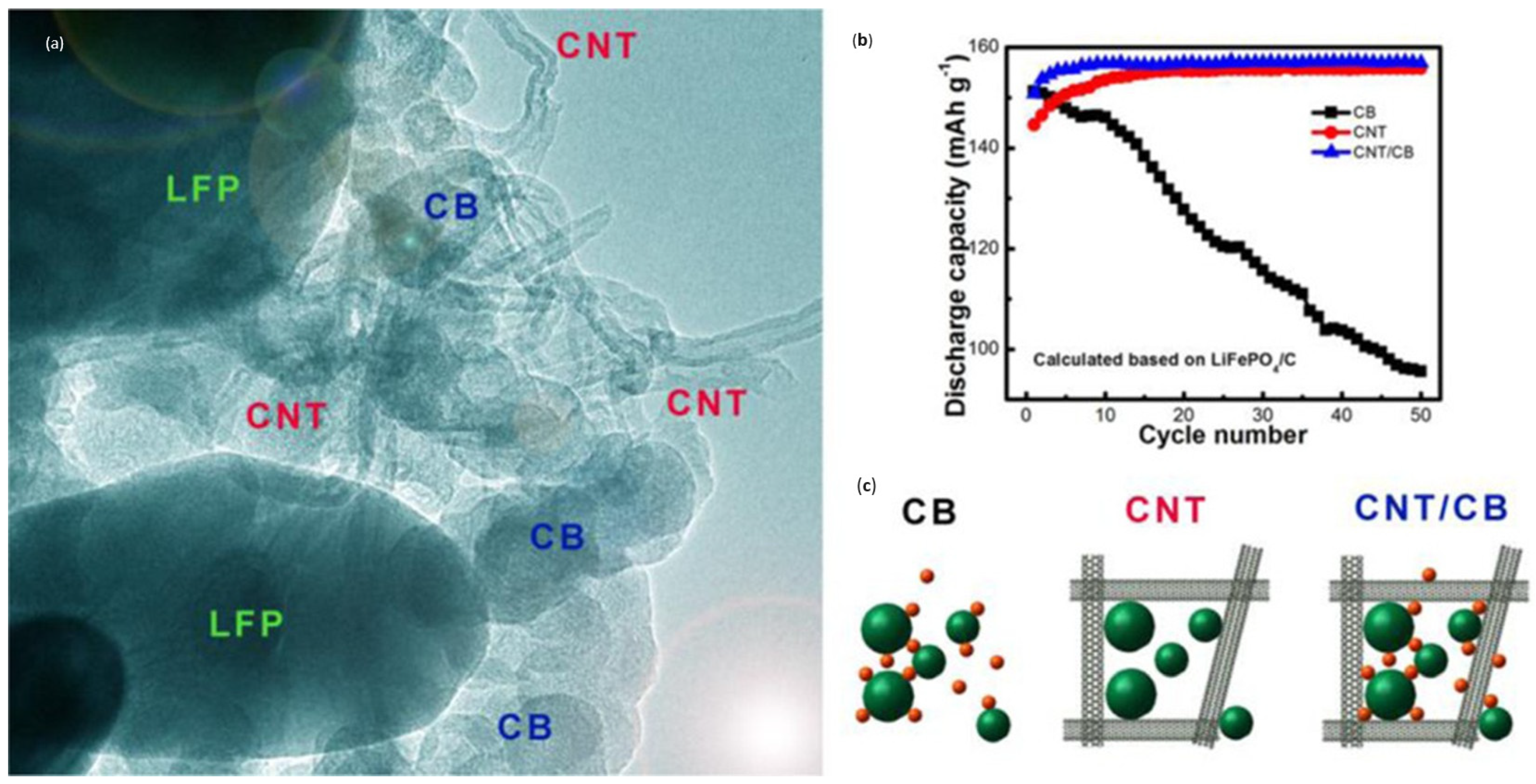 Molecules 30 00883 g010