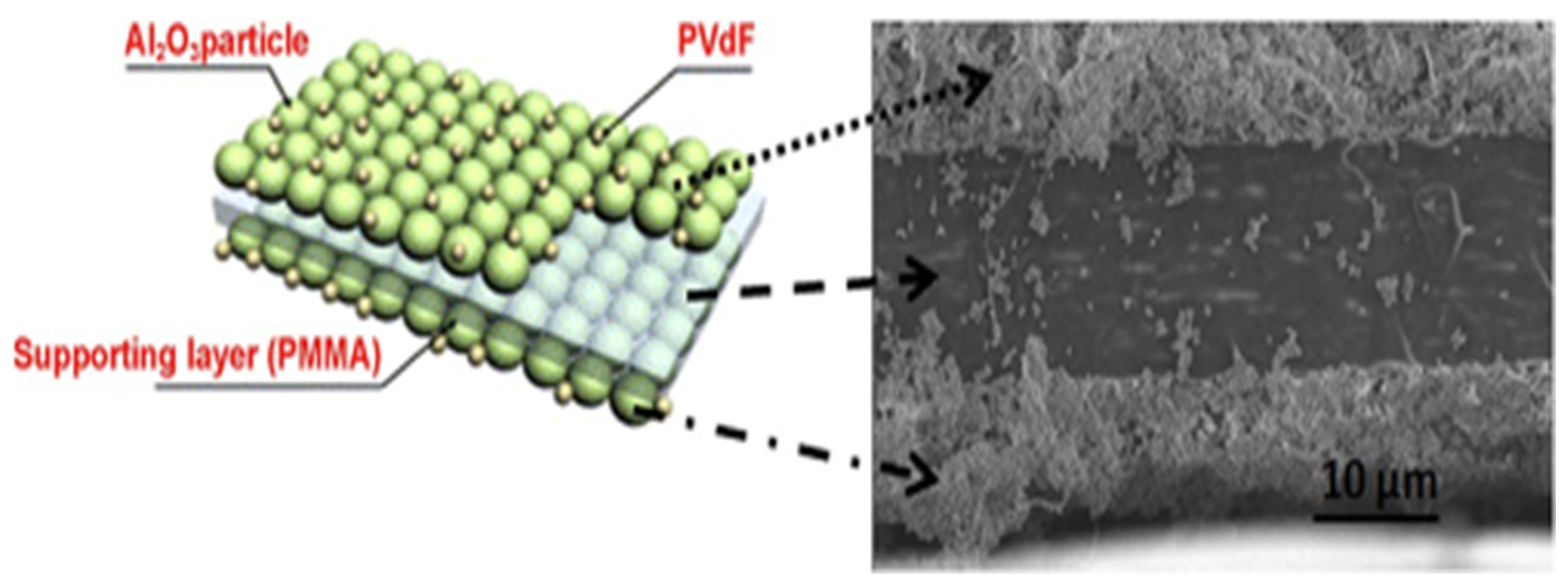 Molecules 30 00883 g012