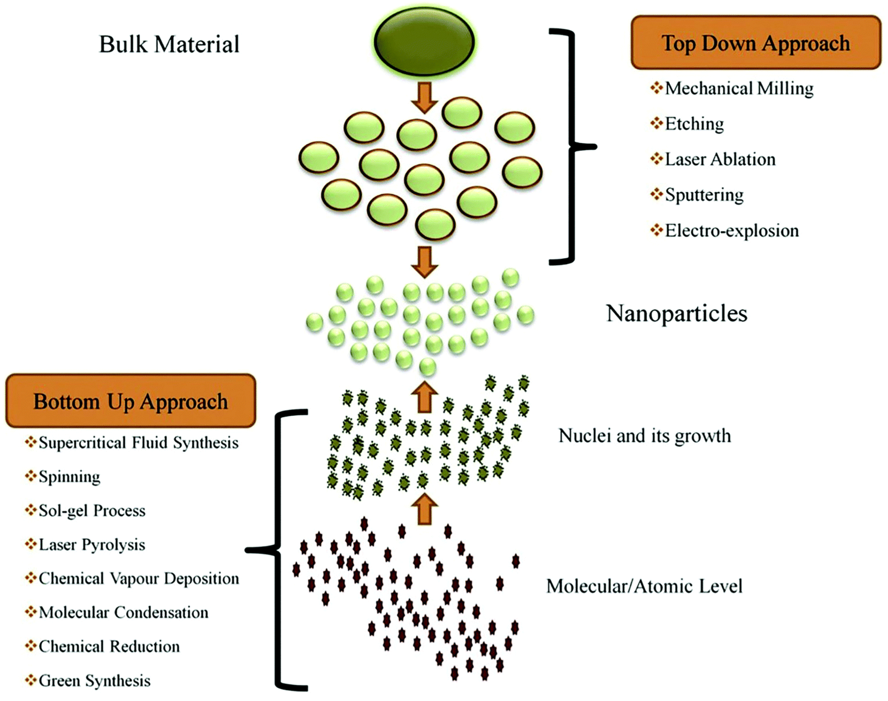 Molecules 30 00883 g016