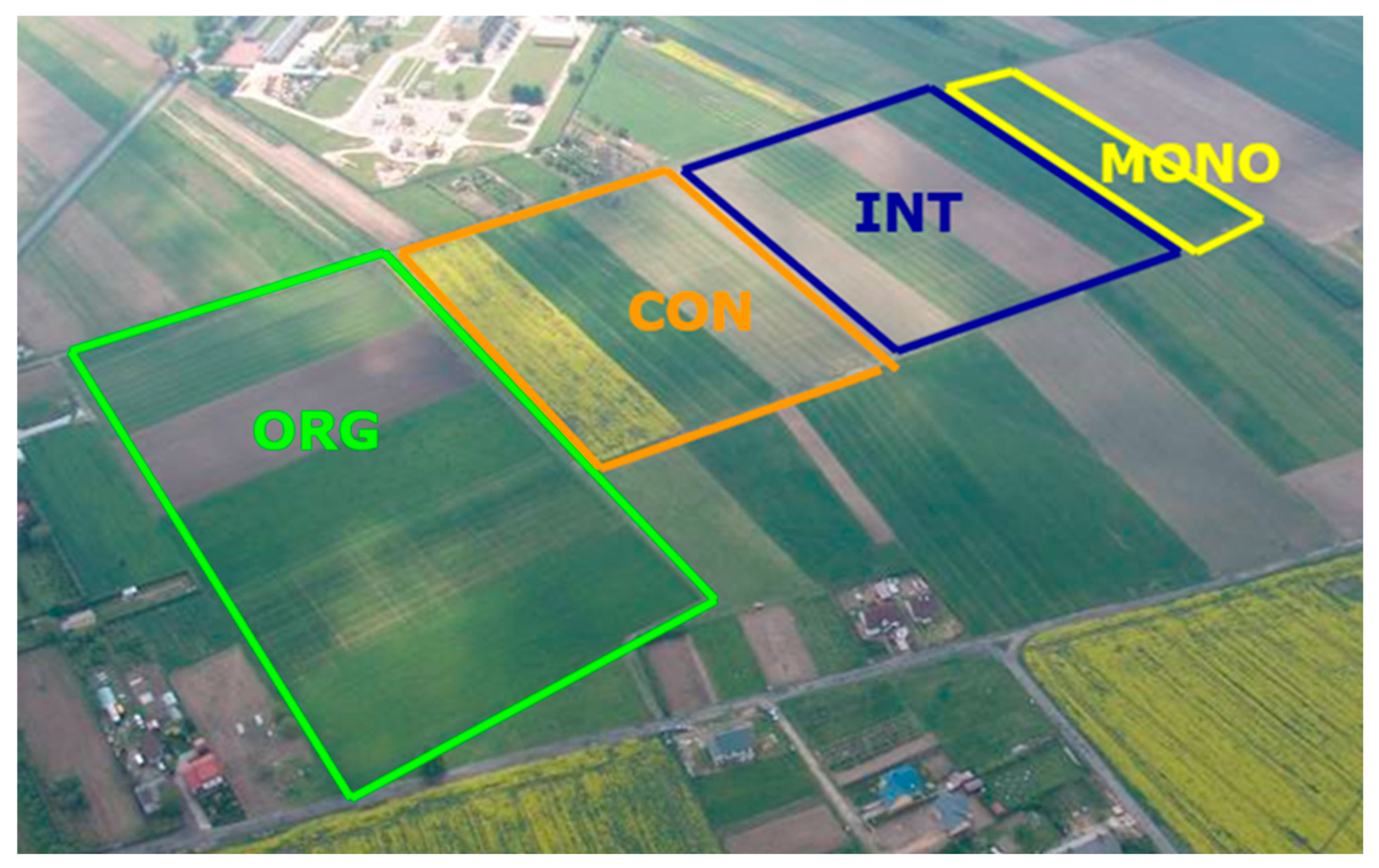 Molecules 30 00902 g004
