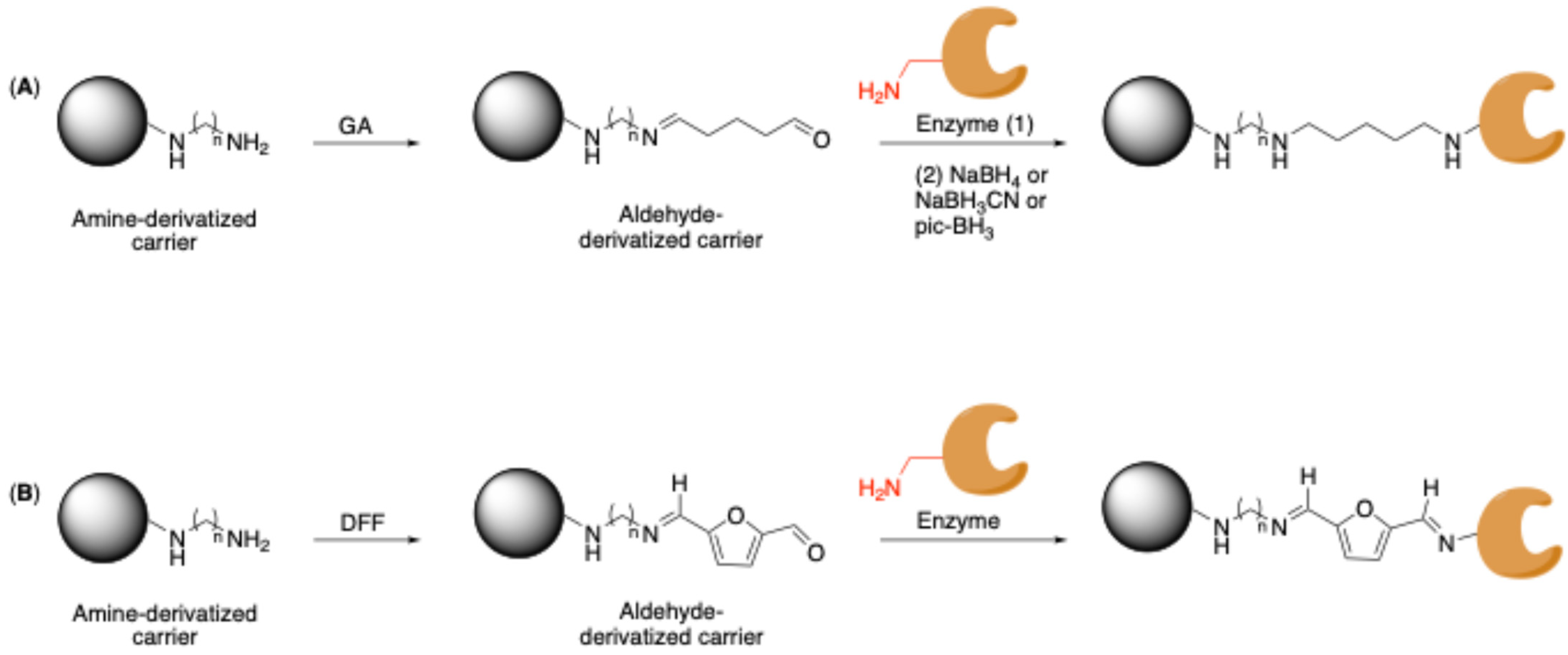 Molecules 30 00939 sch002