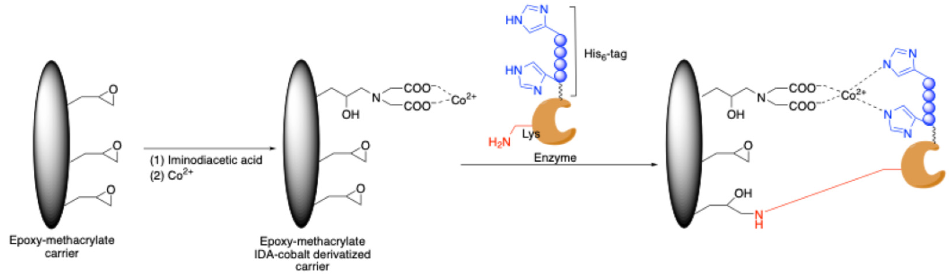 Molecules 30 00939 sch008