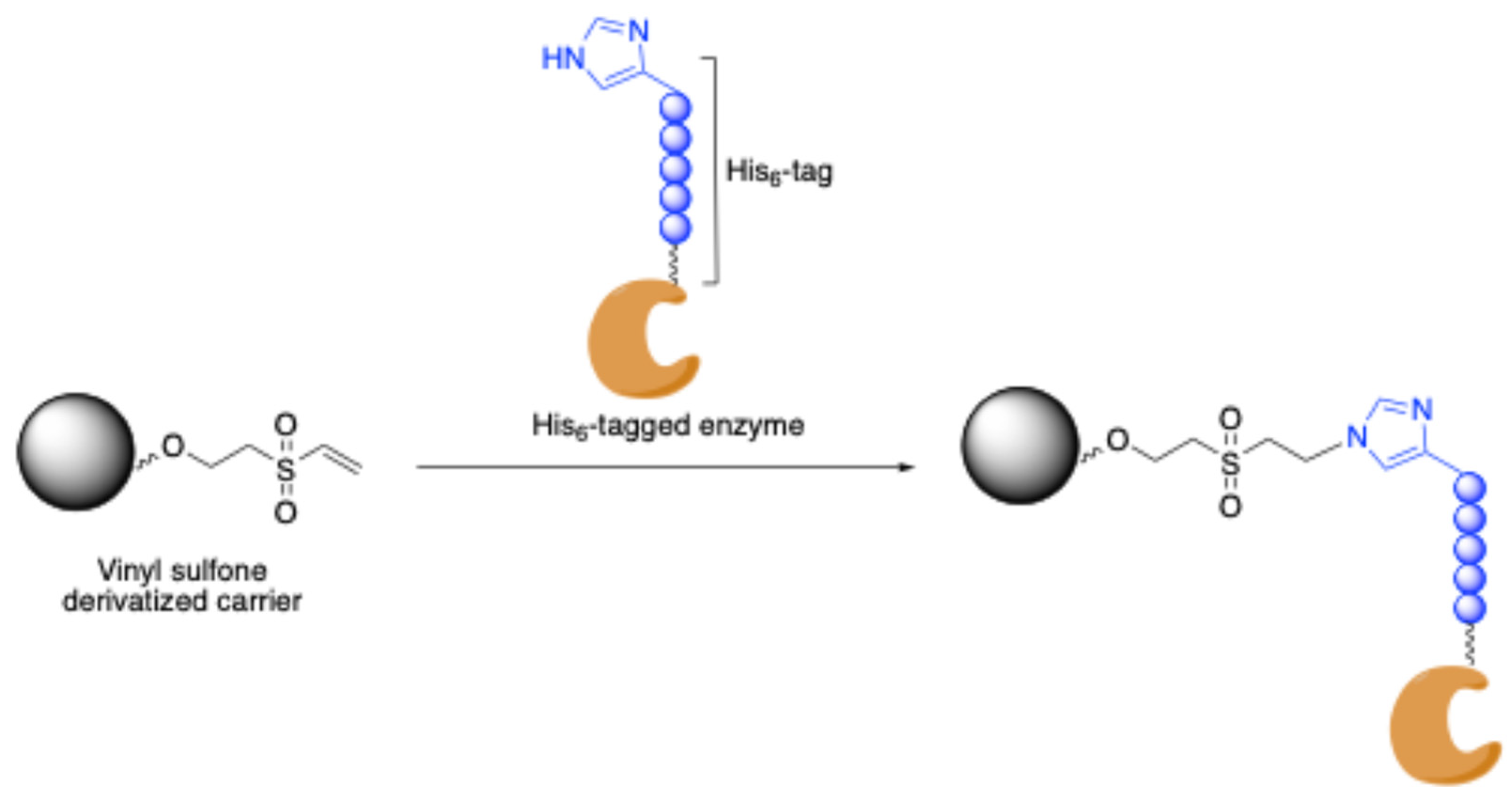 Molecules 30 00939 sch010