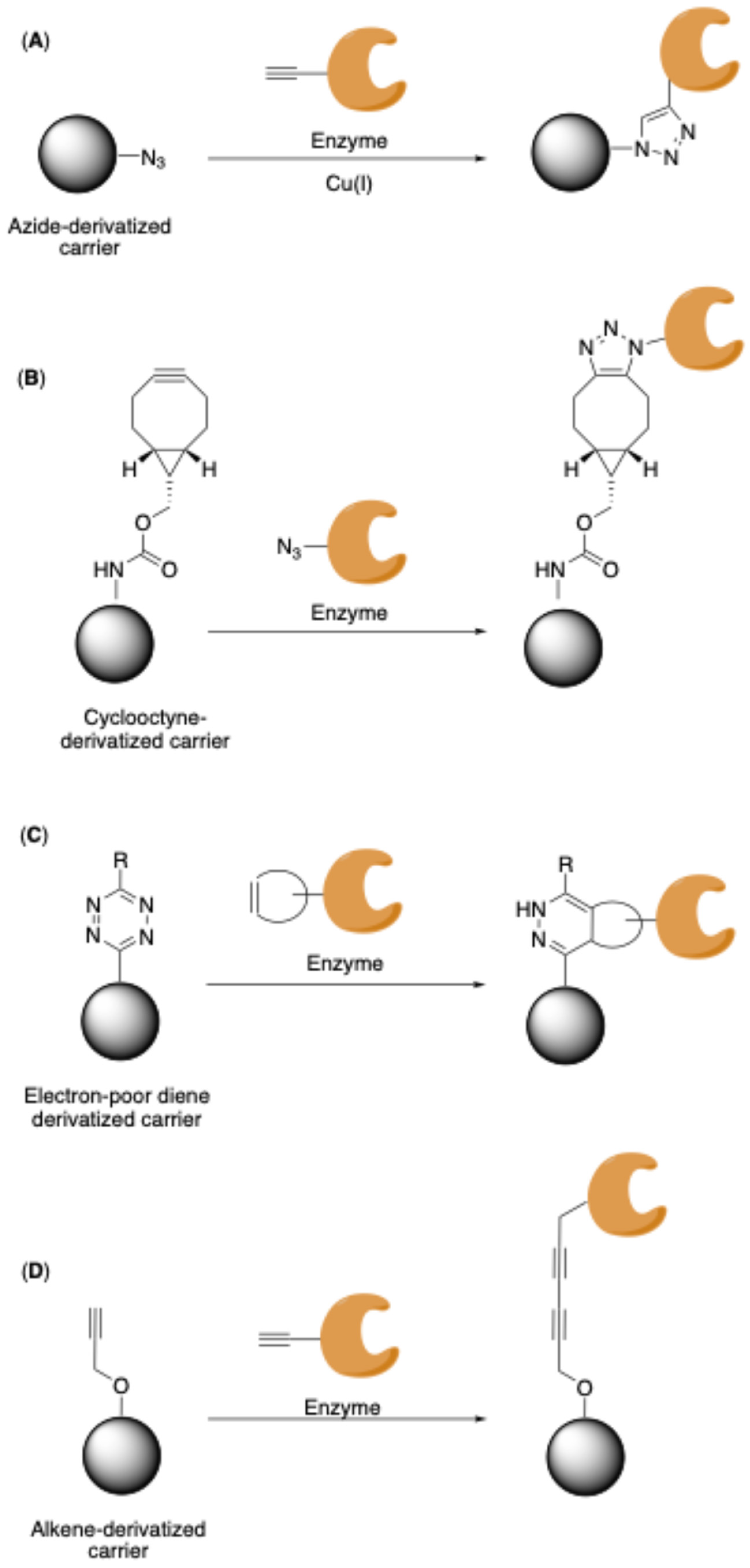Molecules 30 00939 sch015