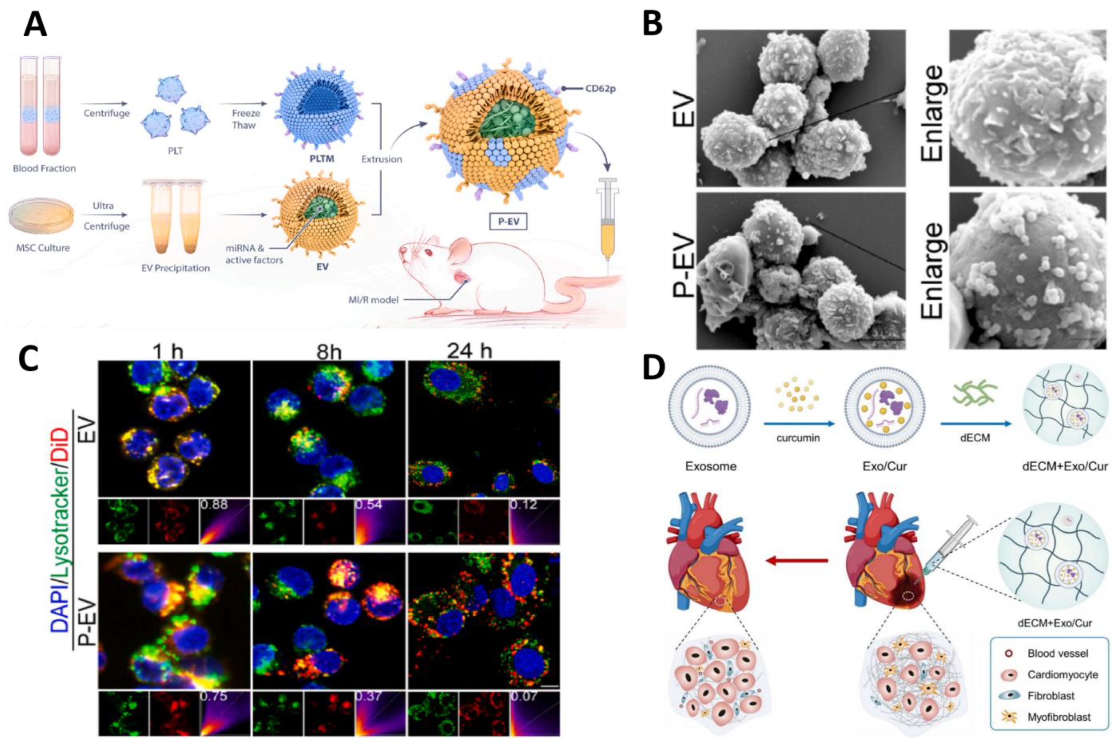 Molecules 30 00962 g006