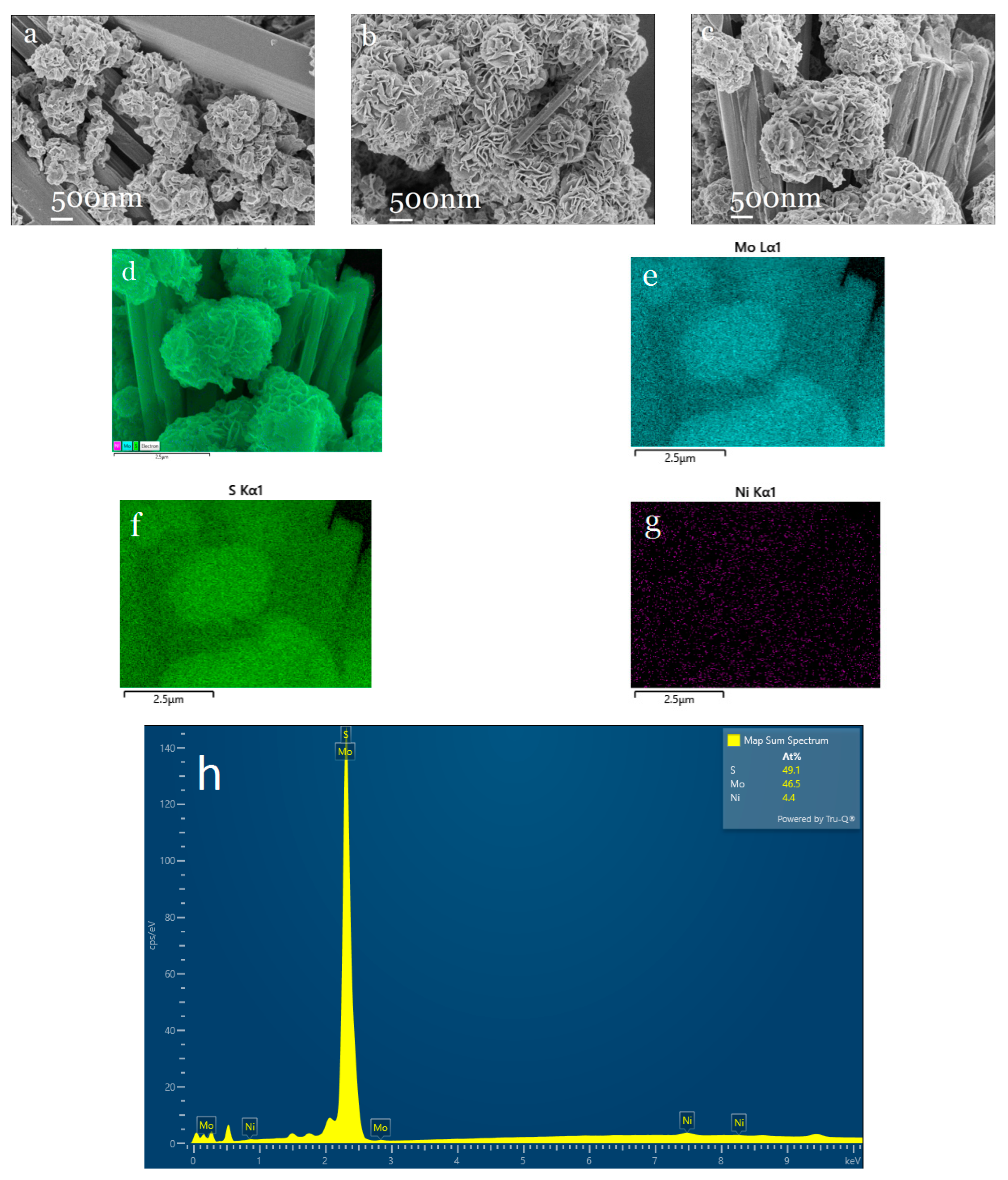 Molecules 30 00963 g007