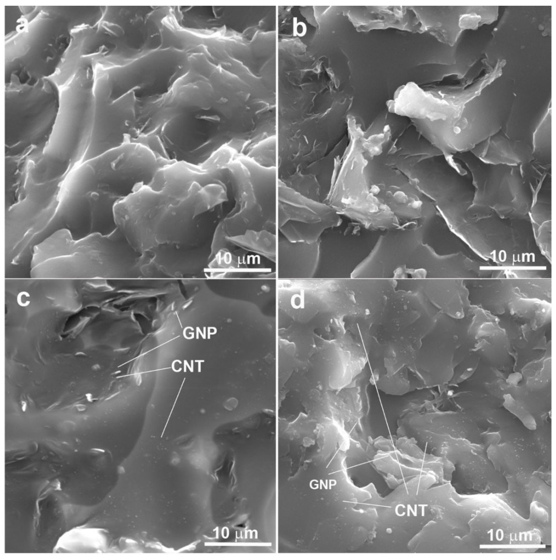 Molecules 30 00985 g004