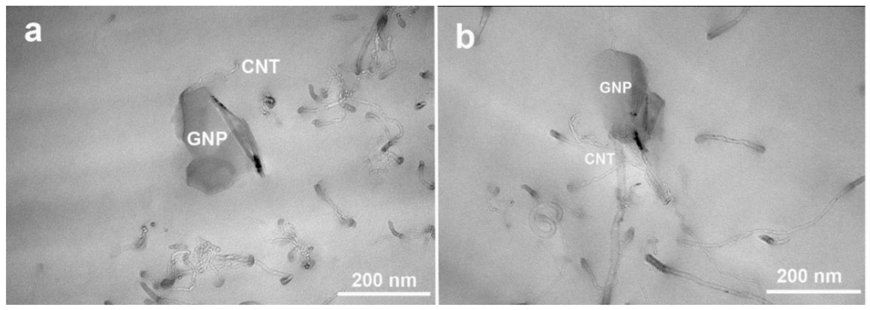 Molecules 30 00985 g005