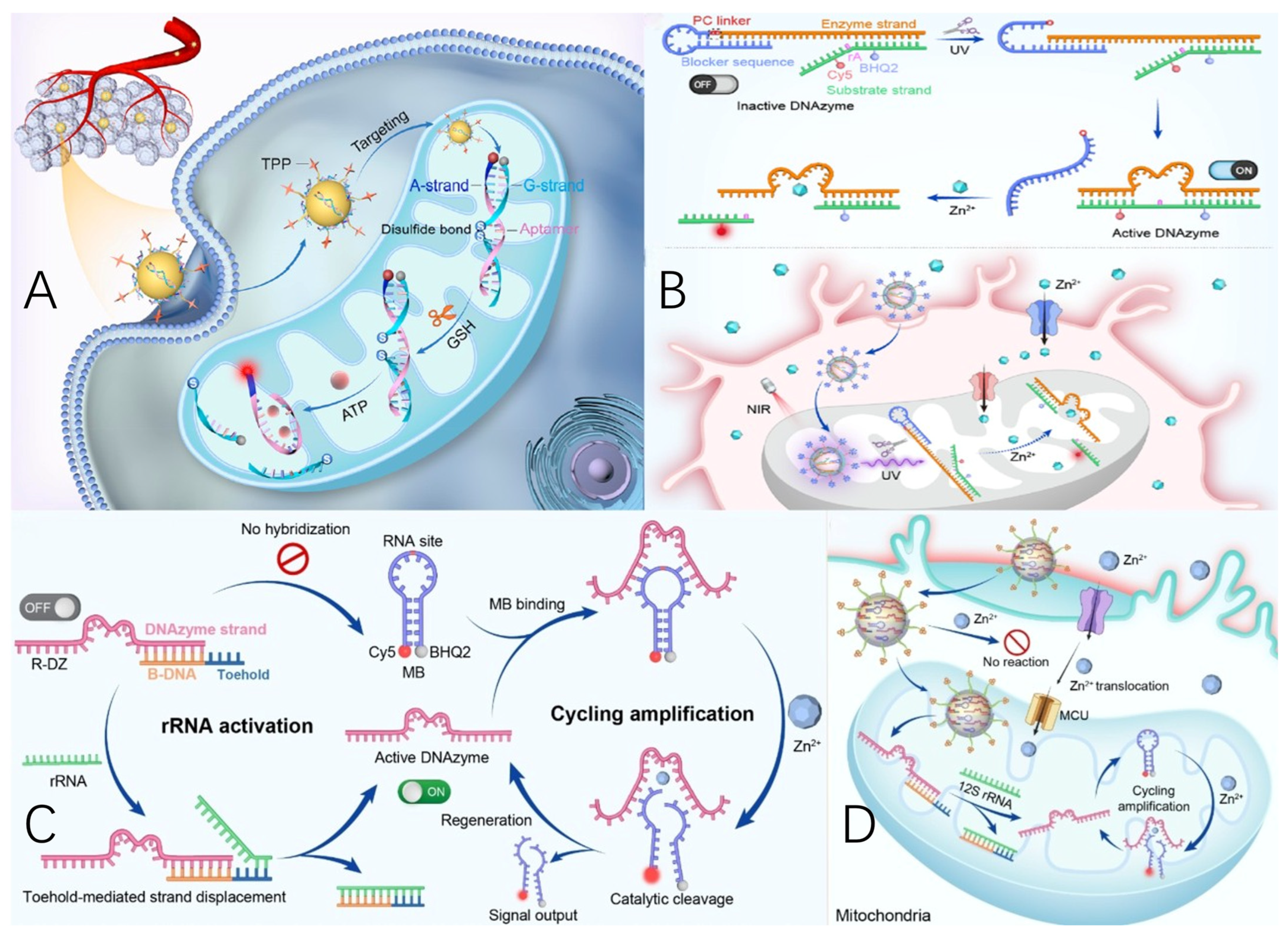 Molecules 30 01025 g004