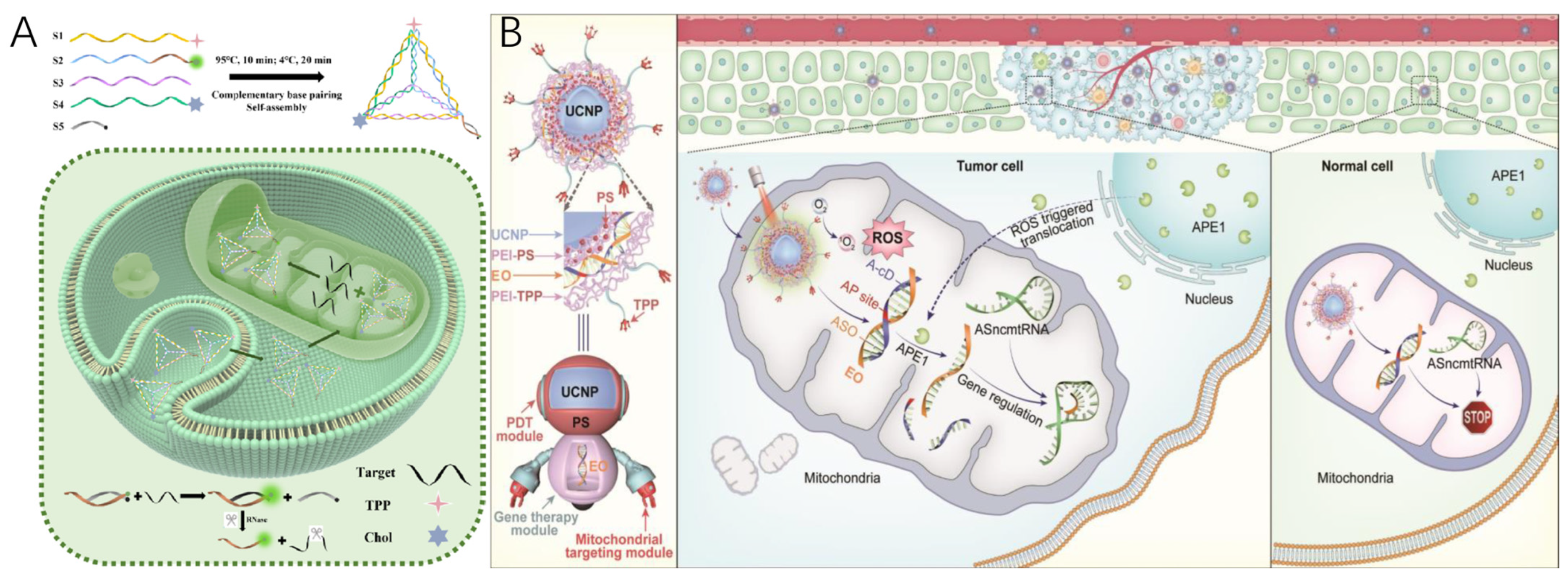 Molecules 30 01025 g005