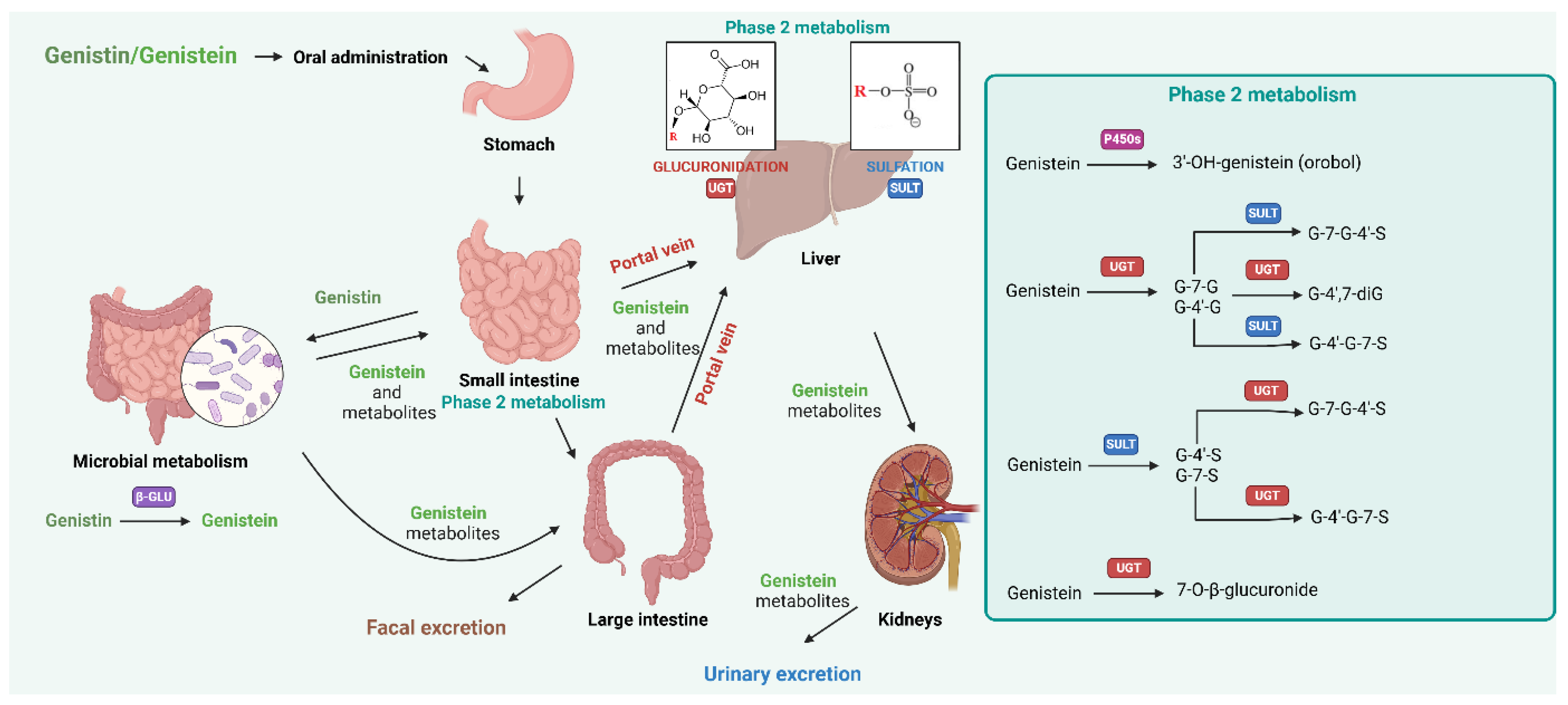 Molecules 30 01068 g003 Molecules 30 01068 g003