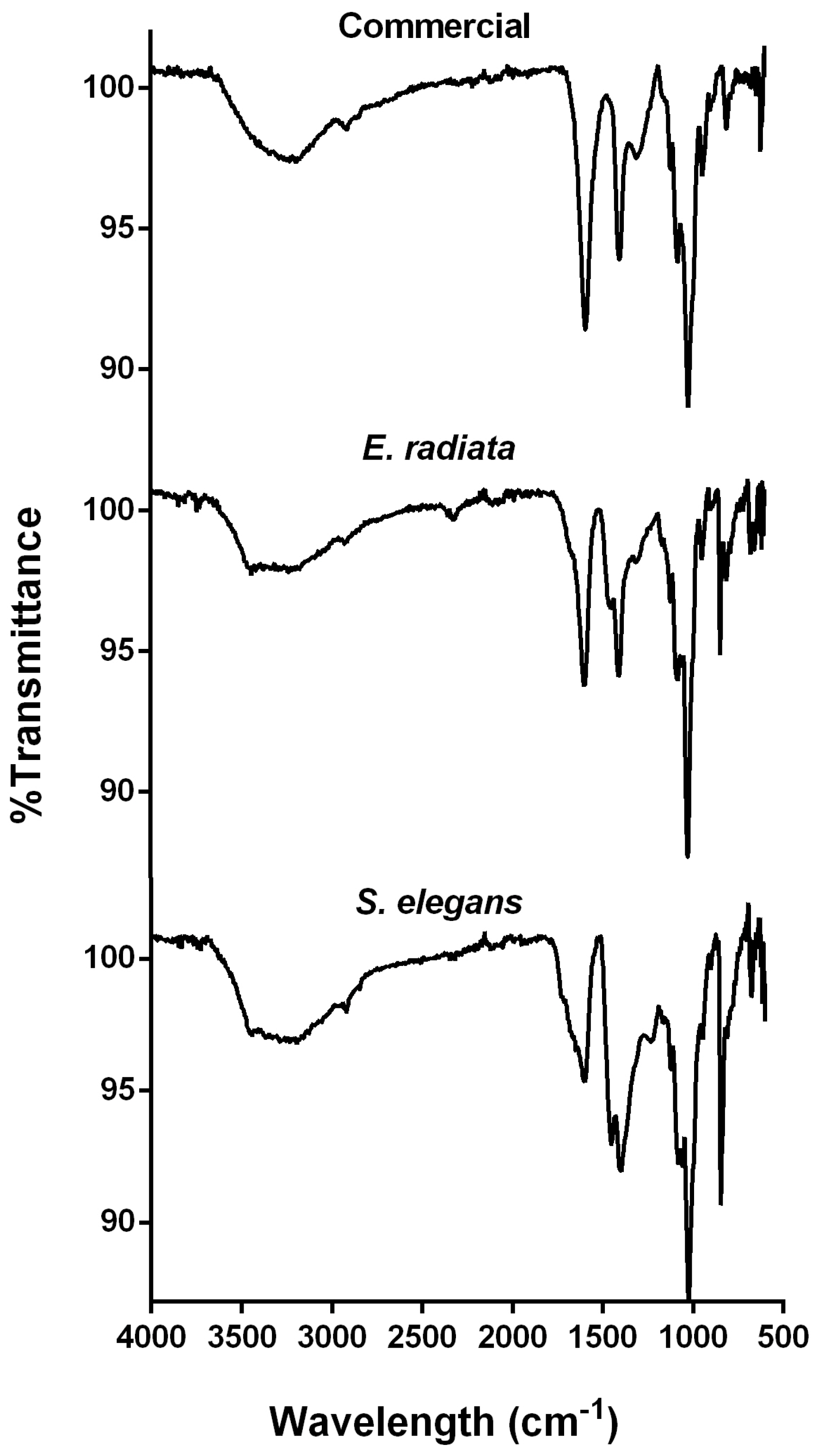 Molecules 30 01155 g002