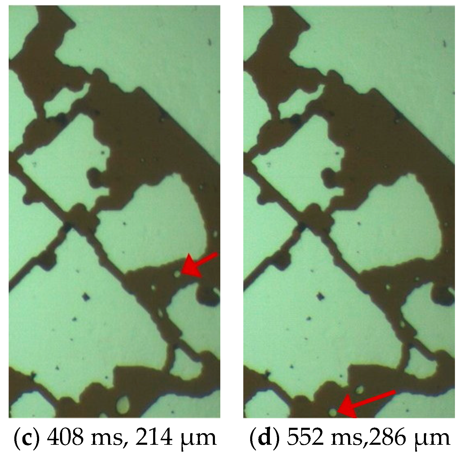 Molecules 30 01163 g005b Molecules 30 01163 g005b