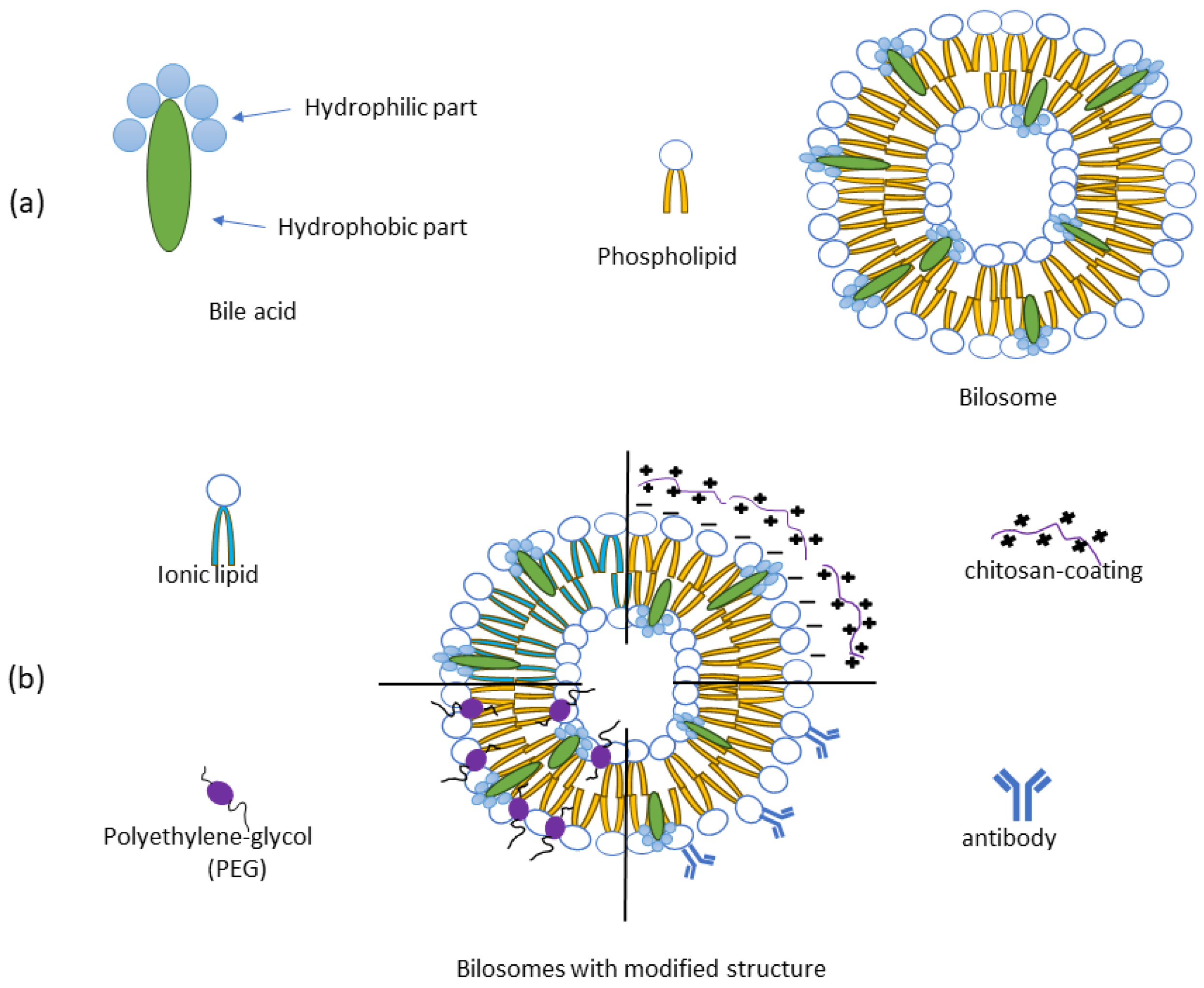 Molecules 30 01181 g001