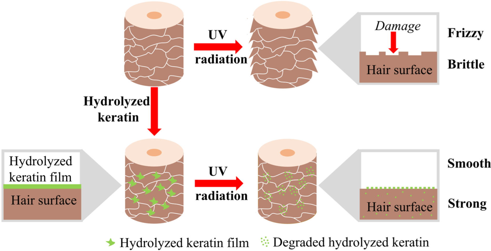 Molecules 30 01182 g006