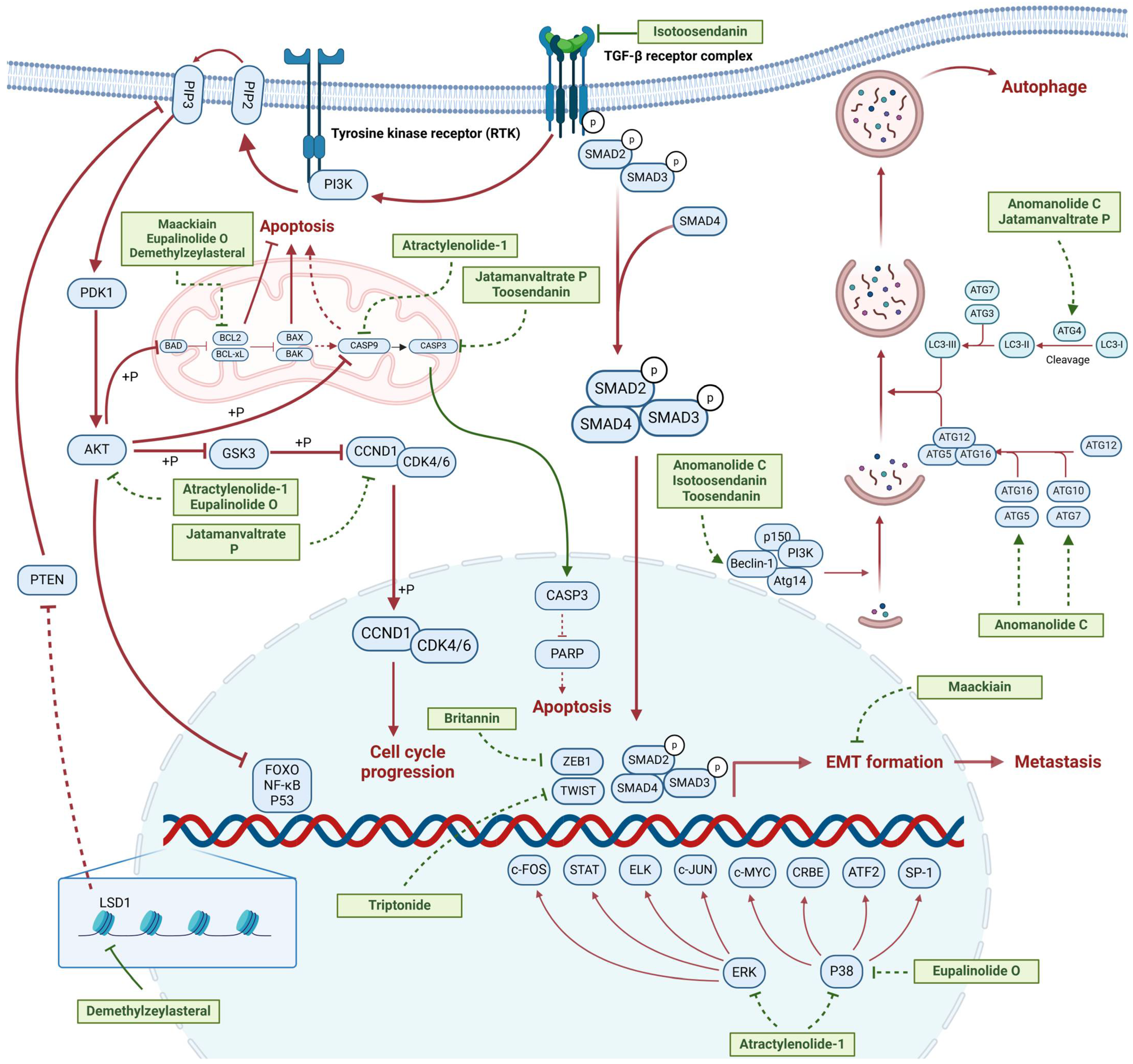 Molecules 30 01201 g001