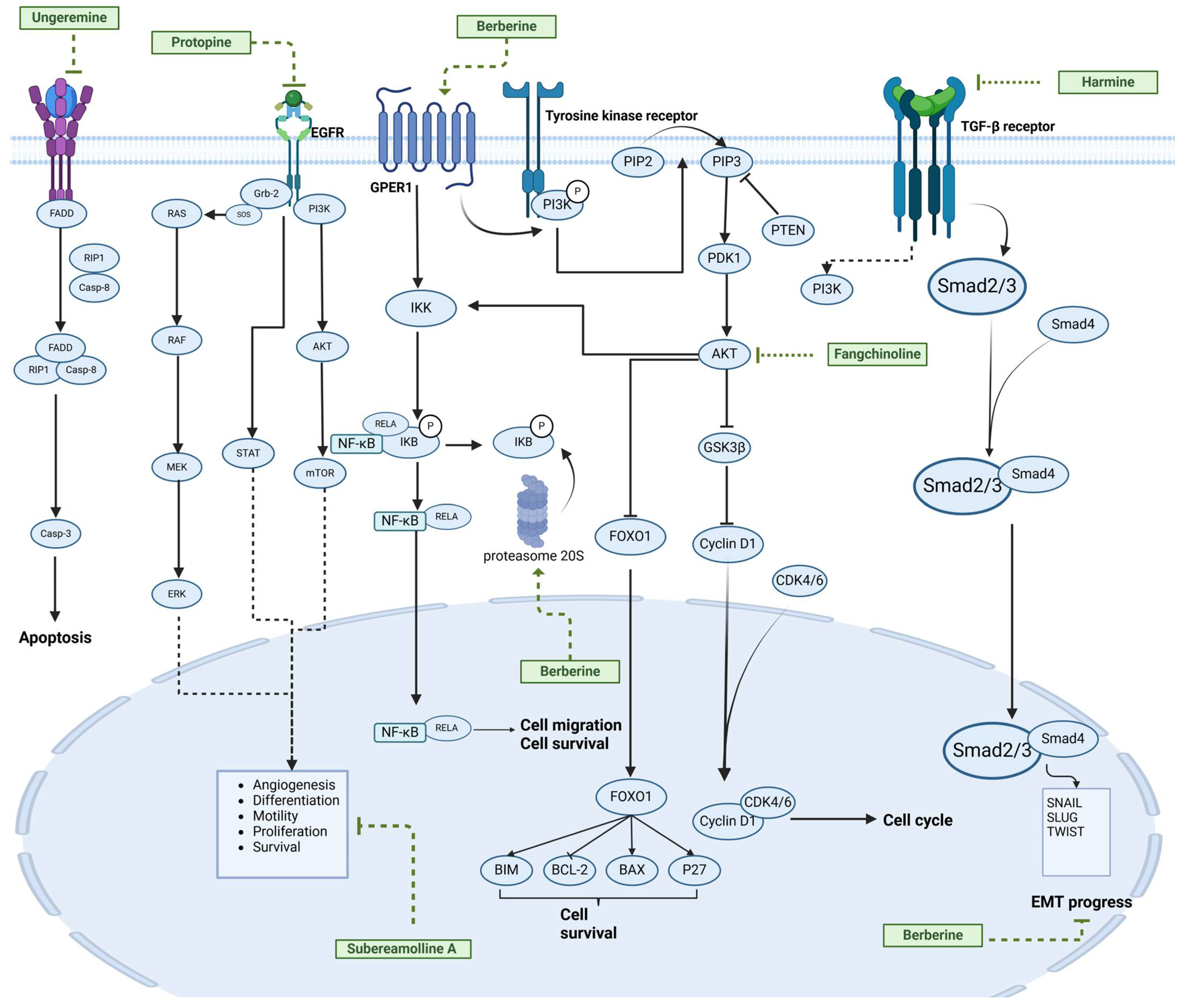 Molecules 30 01201 g004
