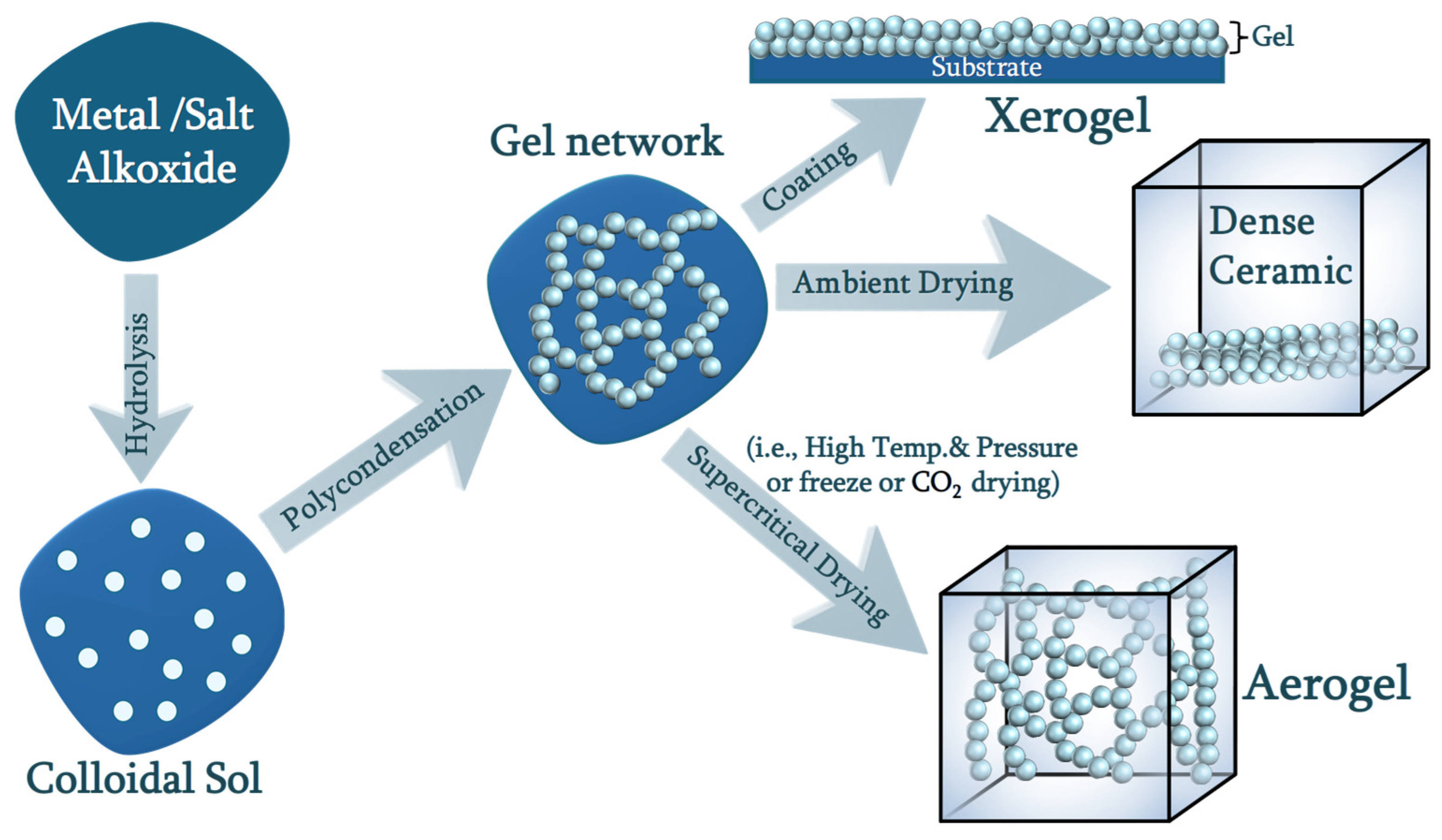 Molecules 30 01212 g005