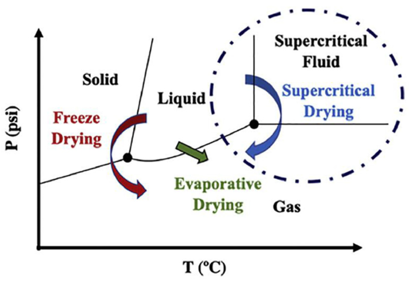 Molecules 30 01212 g006