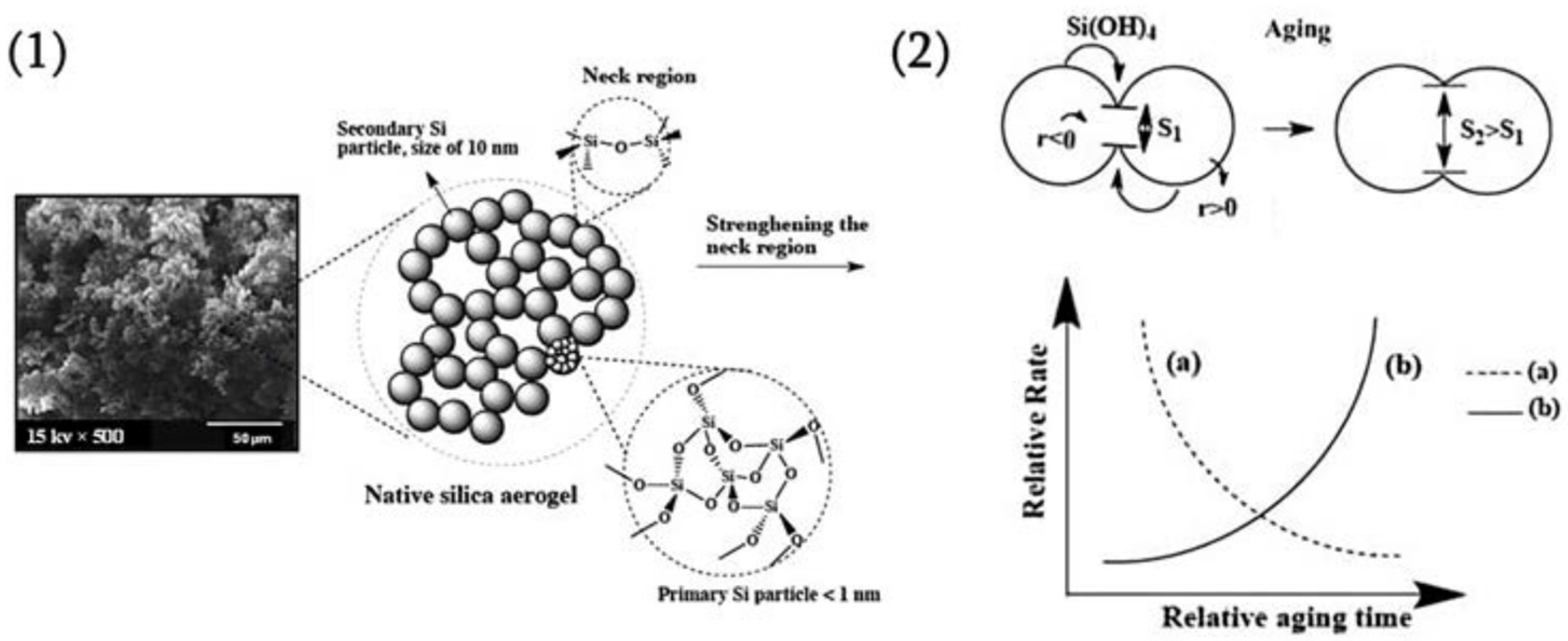 Molecules 30 01212 g009