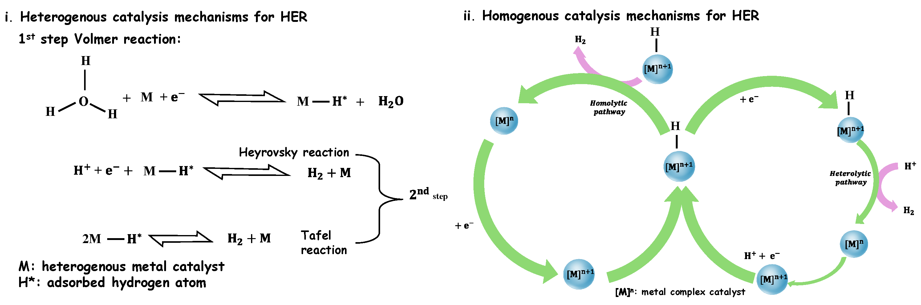 Molecules 30 01212 g010