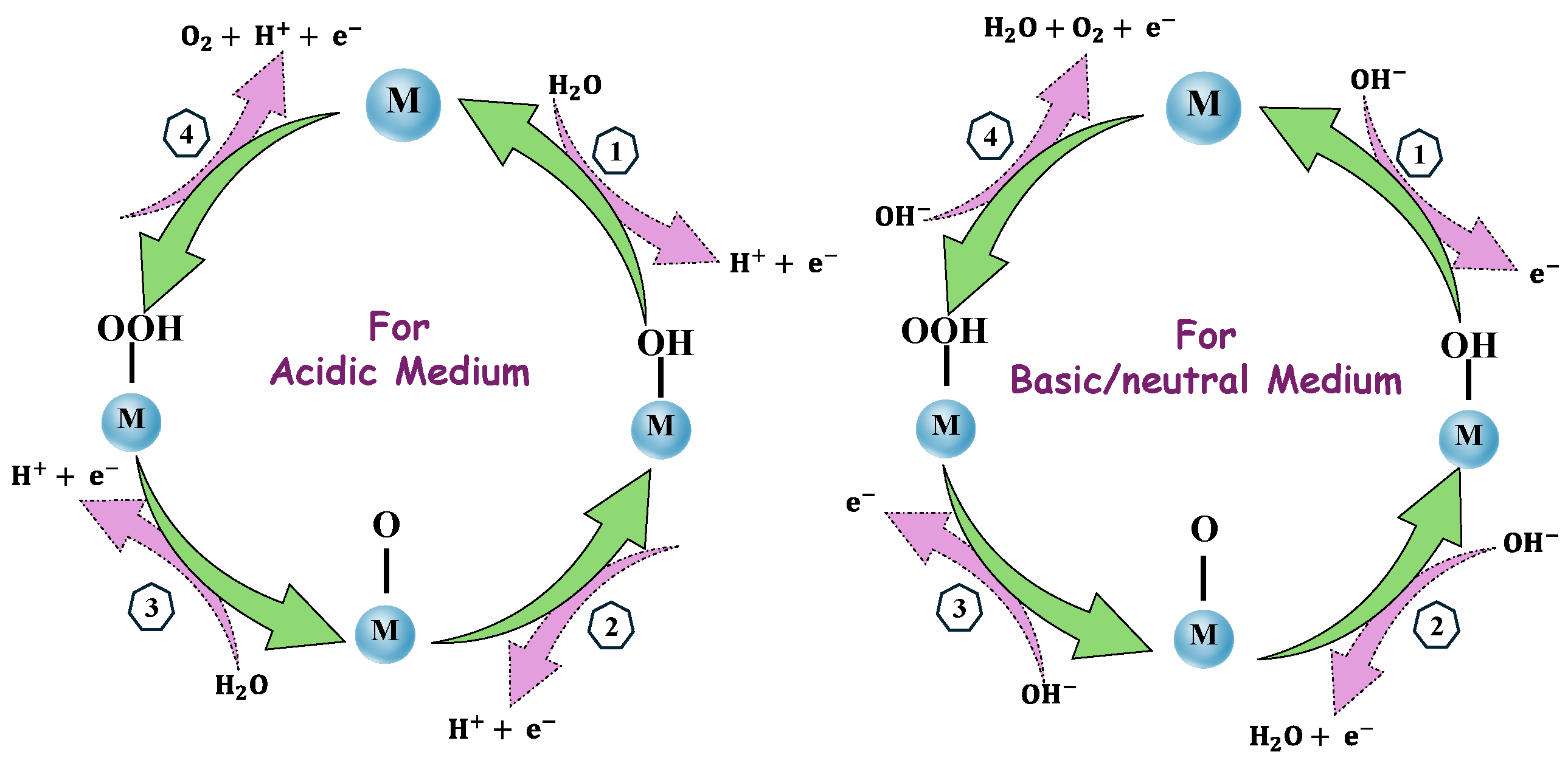 Molecules 30 01212 g011