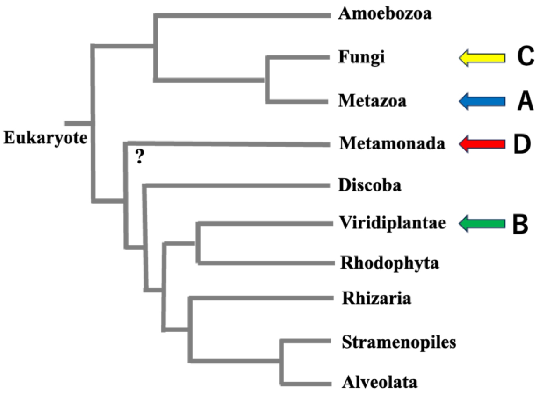 Molecules 30 01220 g001